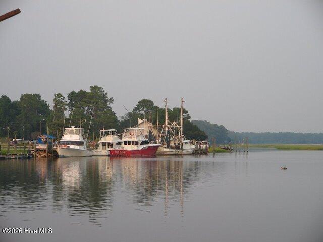 100563961 | Photo 43