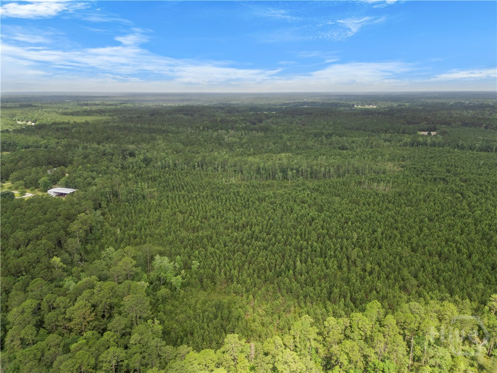 0 Rahn Station Road, Rincon, GA, 31326