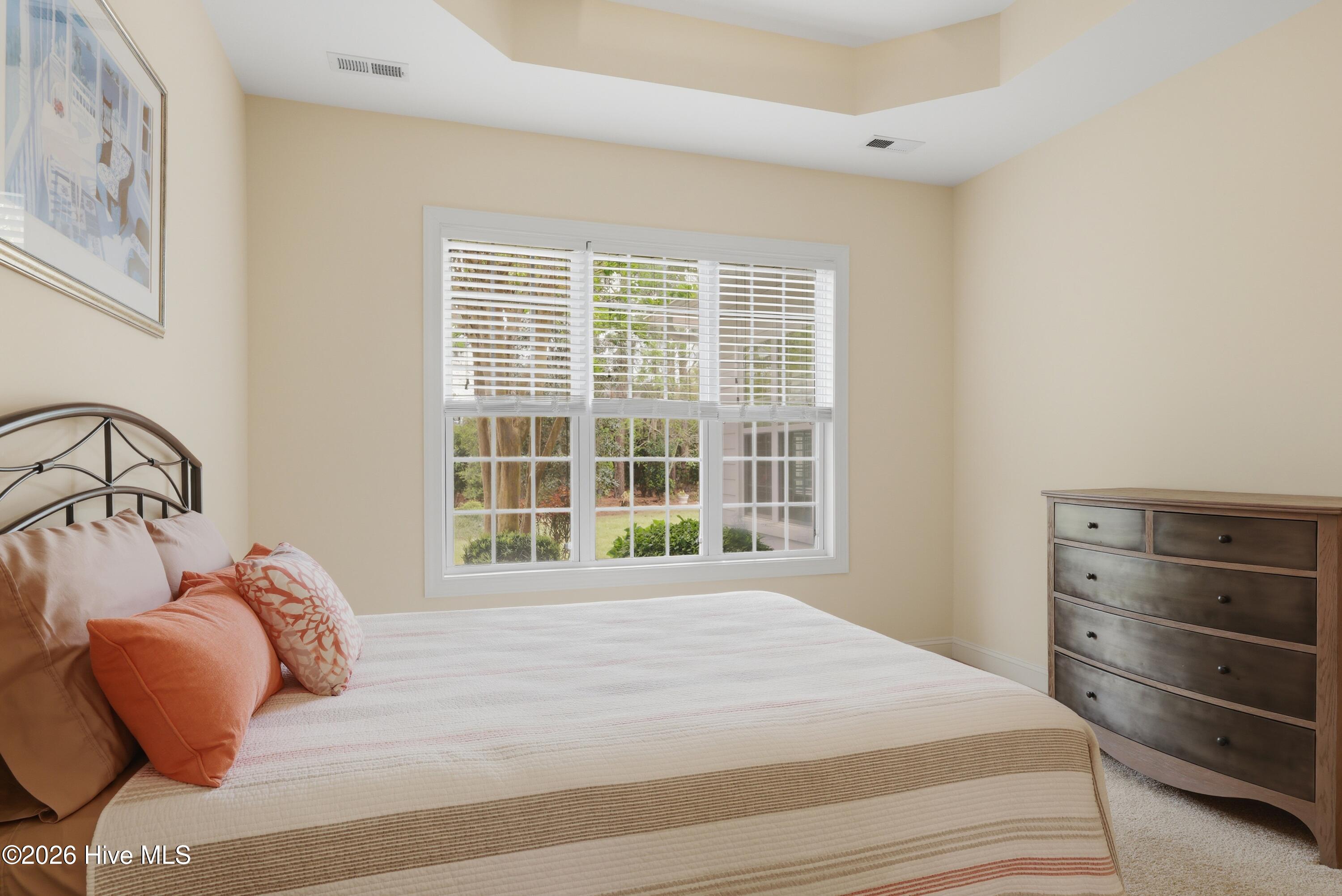 100565162 | Photo 39