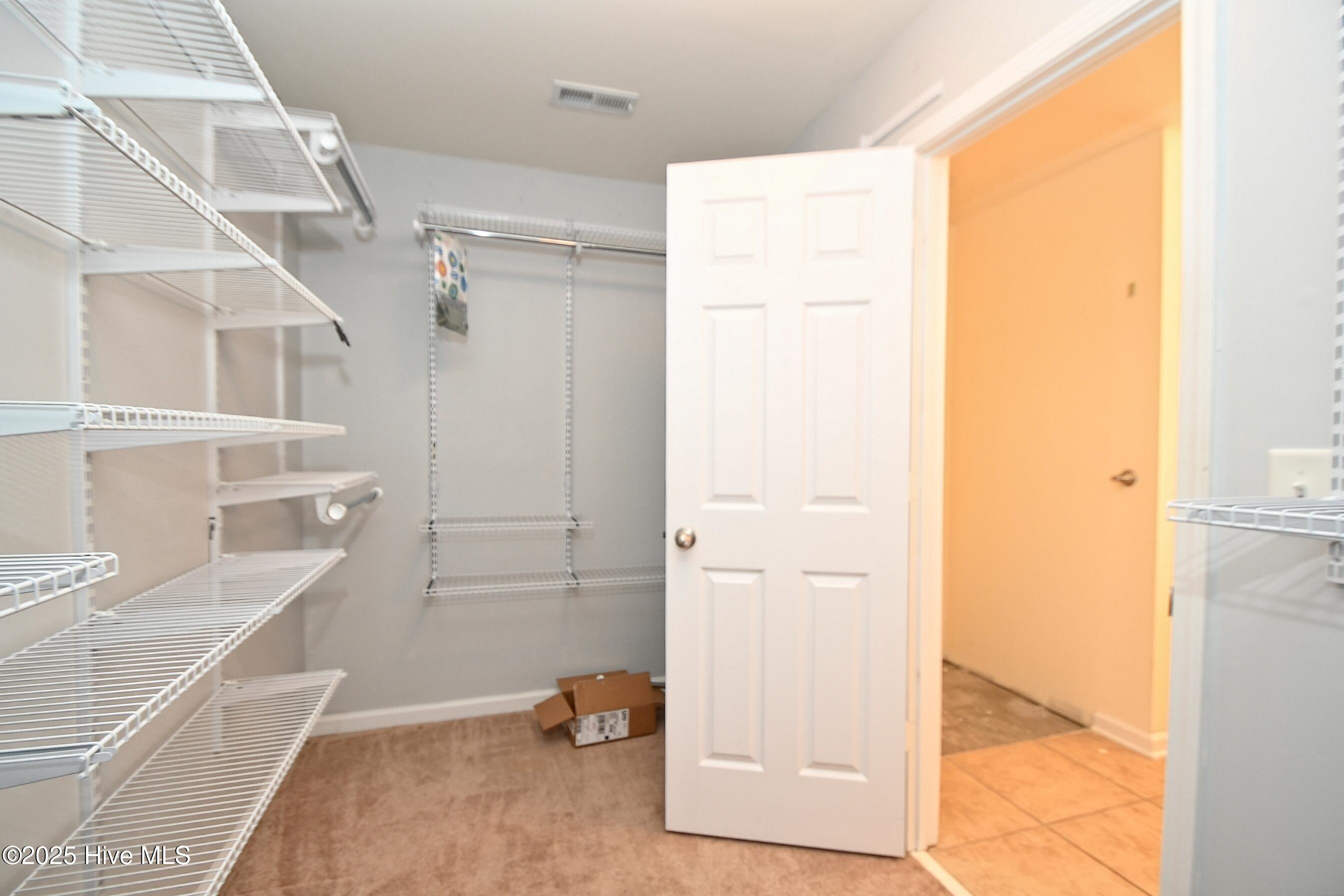 100538735 | Photo 29