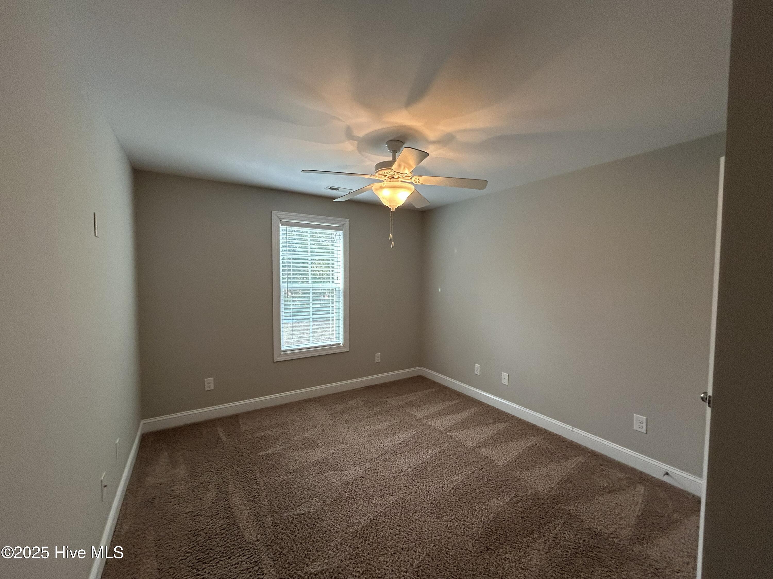 100541351 | Photo 20