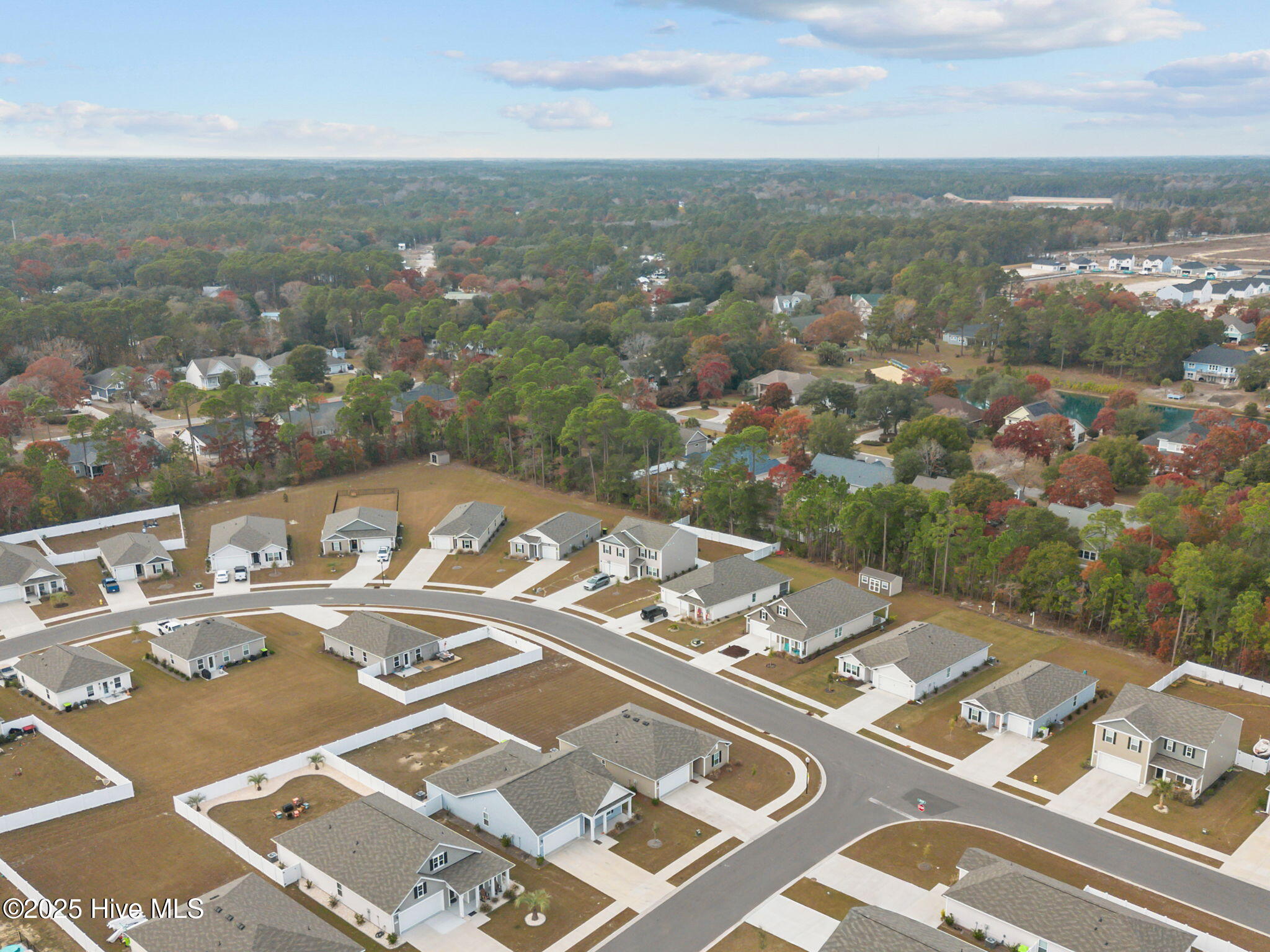 100542693 | Photo 47