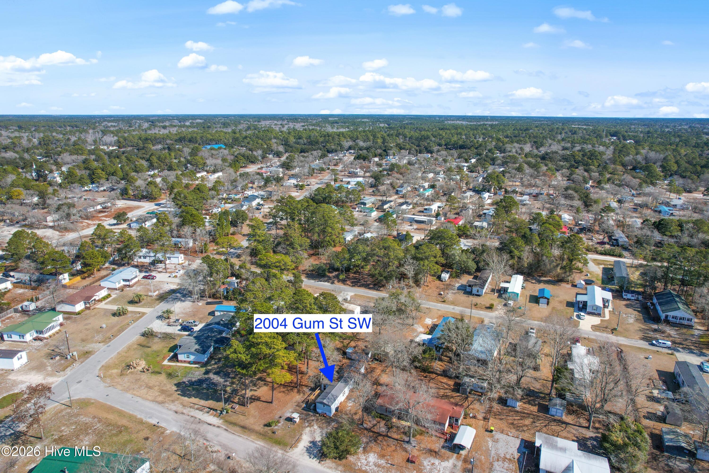 100553824 | Photo 28