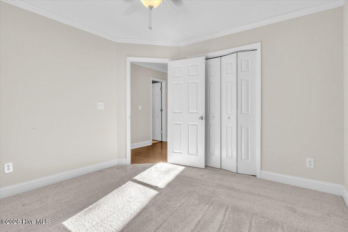 100556413 | Photo 31