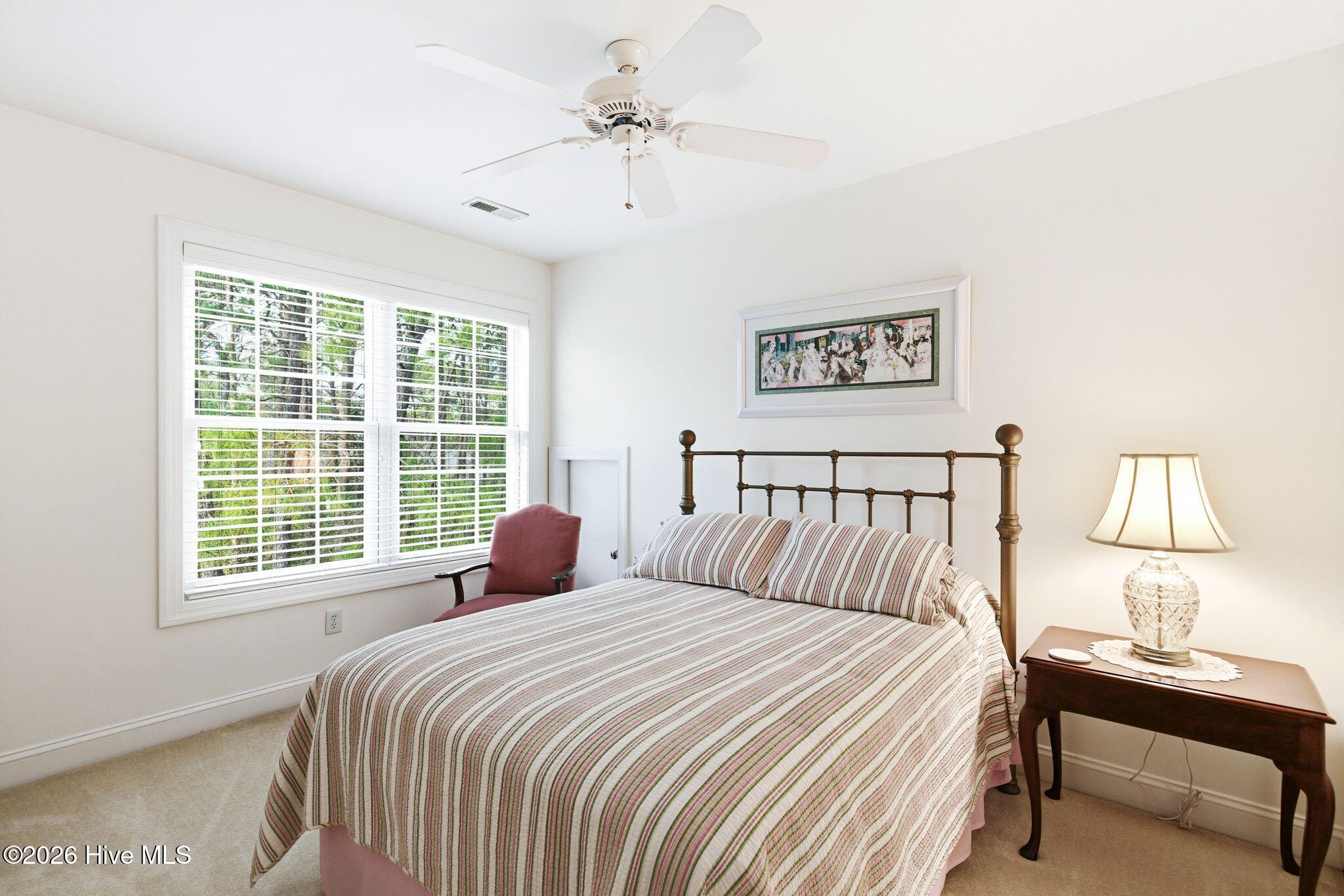 100564231 | Photo 47