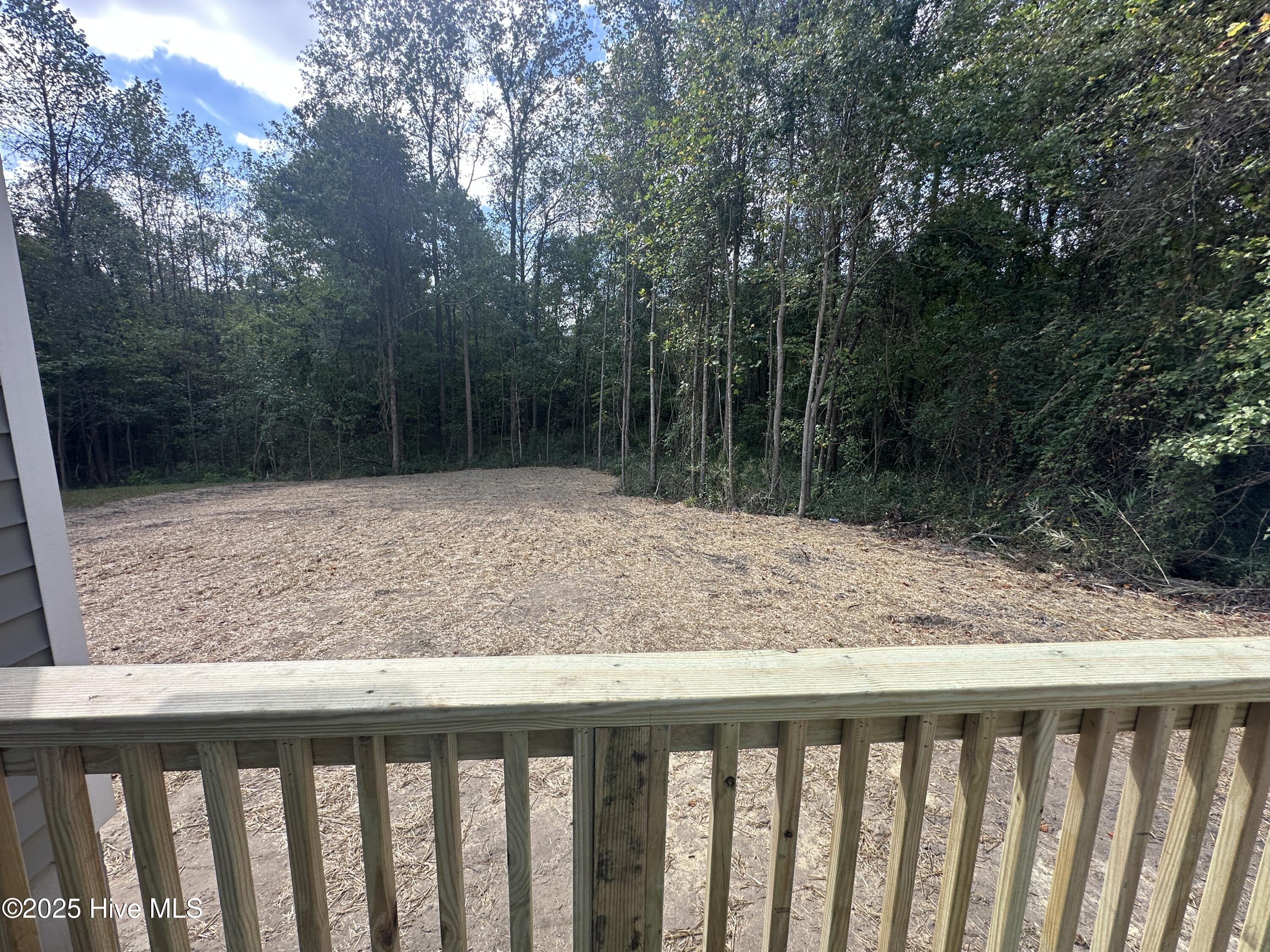 136 Dallas Drive, Beulaville, NC 28518 – photo 23: IMG_6094