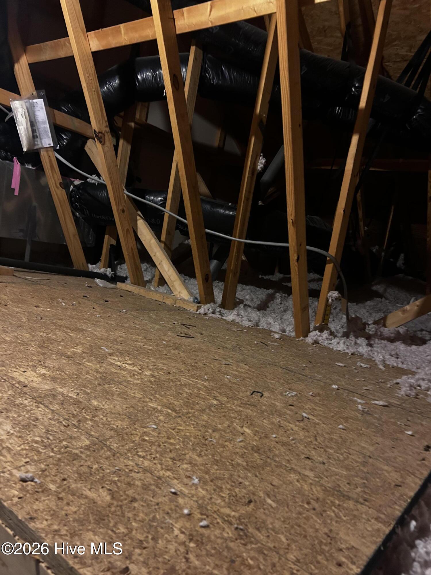 100559170 | Photo 32