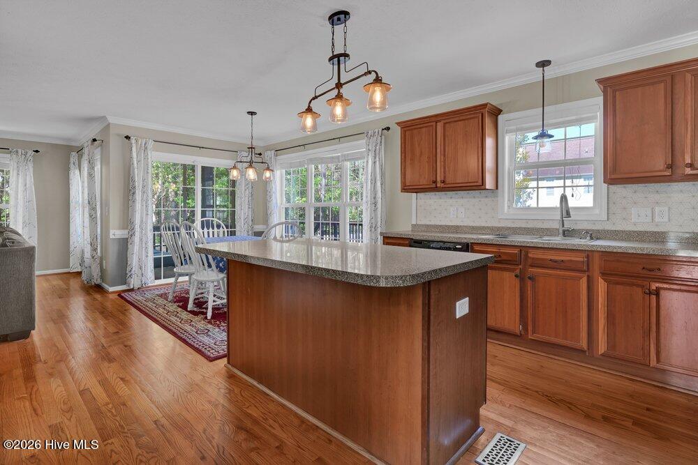 100567145 | Photo 12