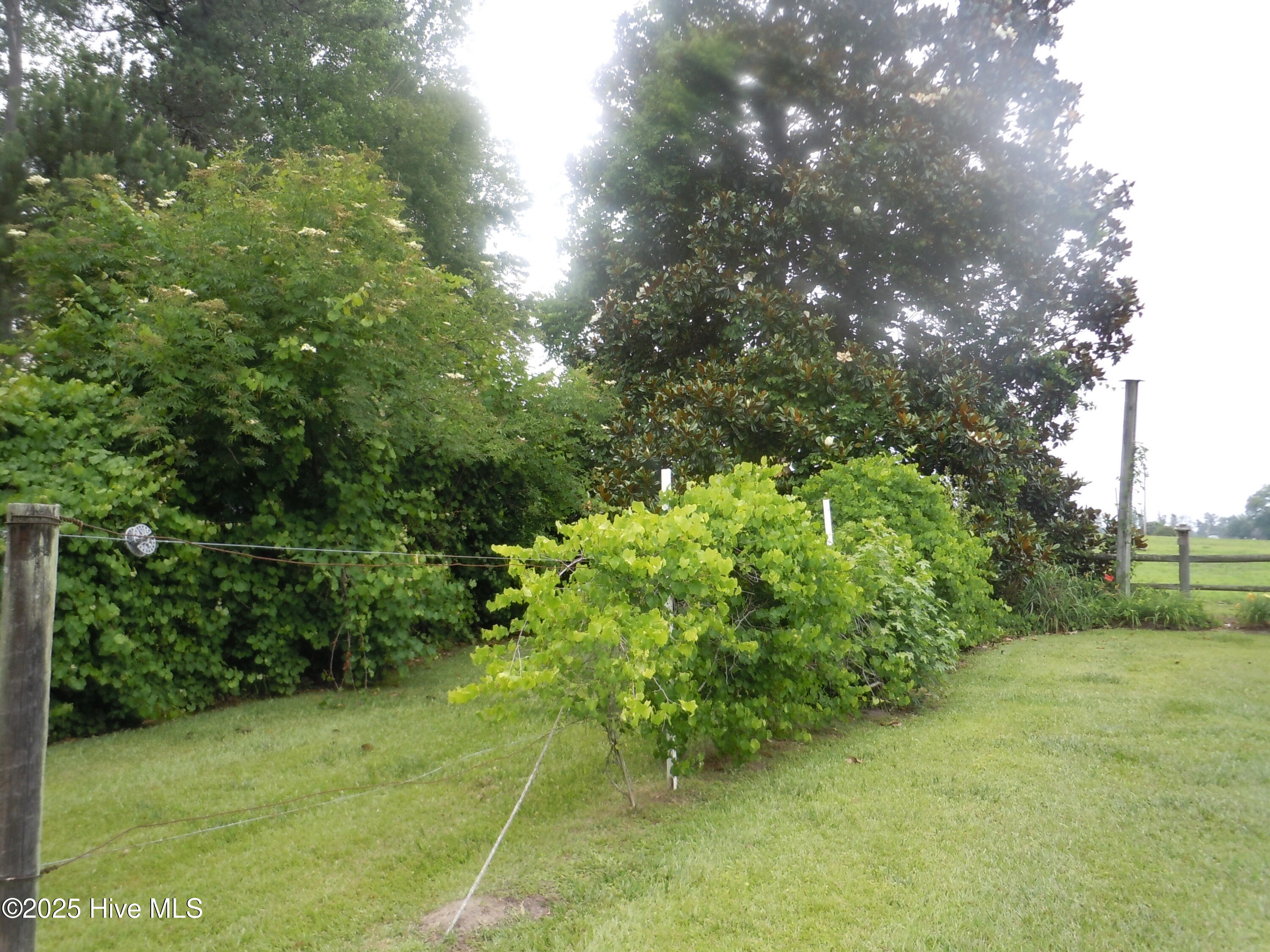 100533053 | Photo 76