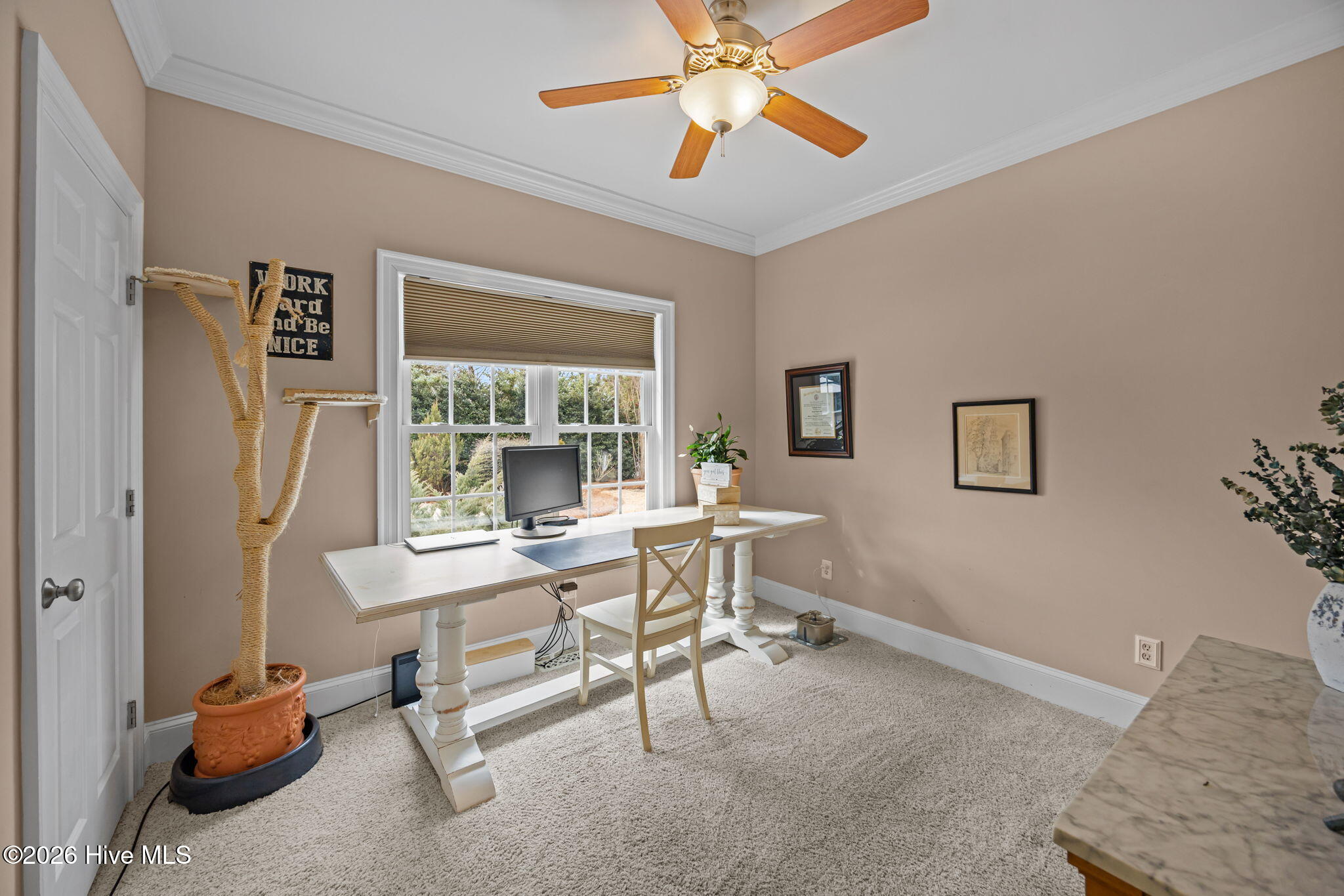 3604 Cantata Drive, Greenville, NC, 27858