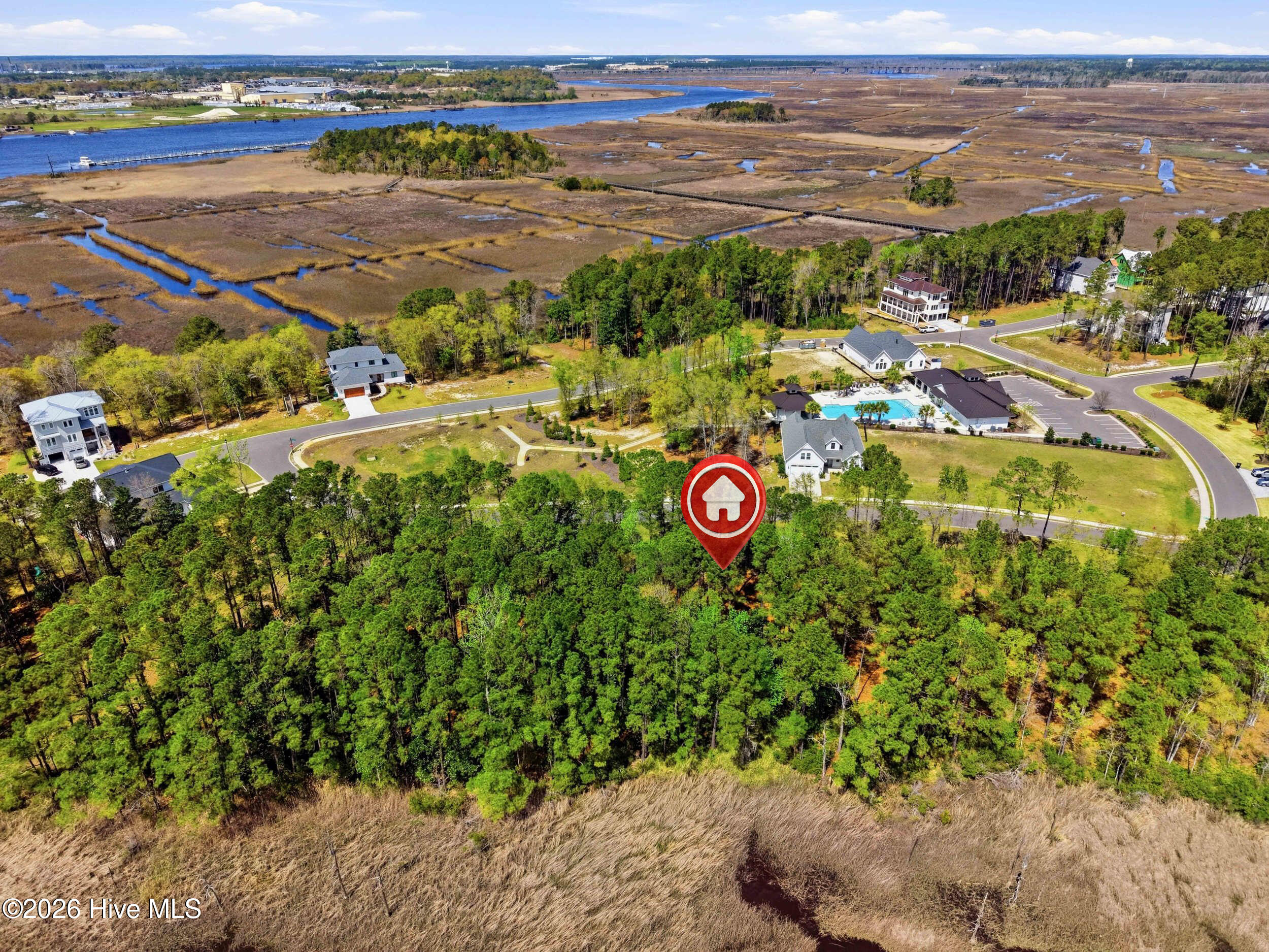 100562614 | Photo 16