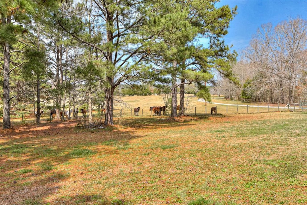 3495 Elberton Highway, Lincolnton, GA 30817 Listing Photo  12