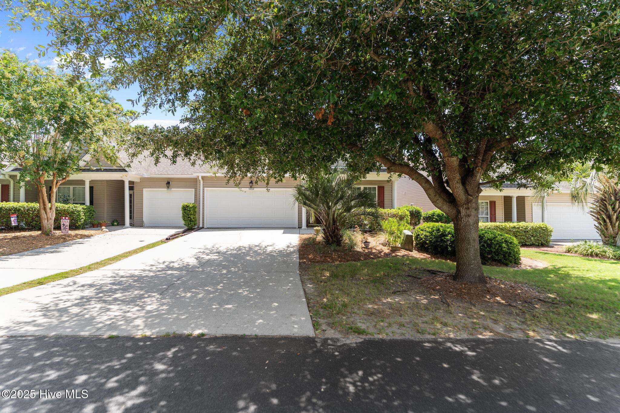 100522397 | Photo 53