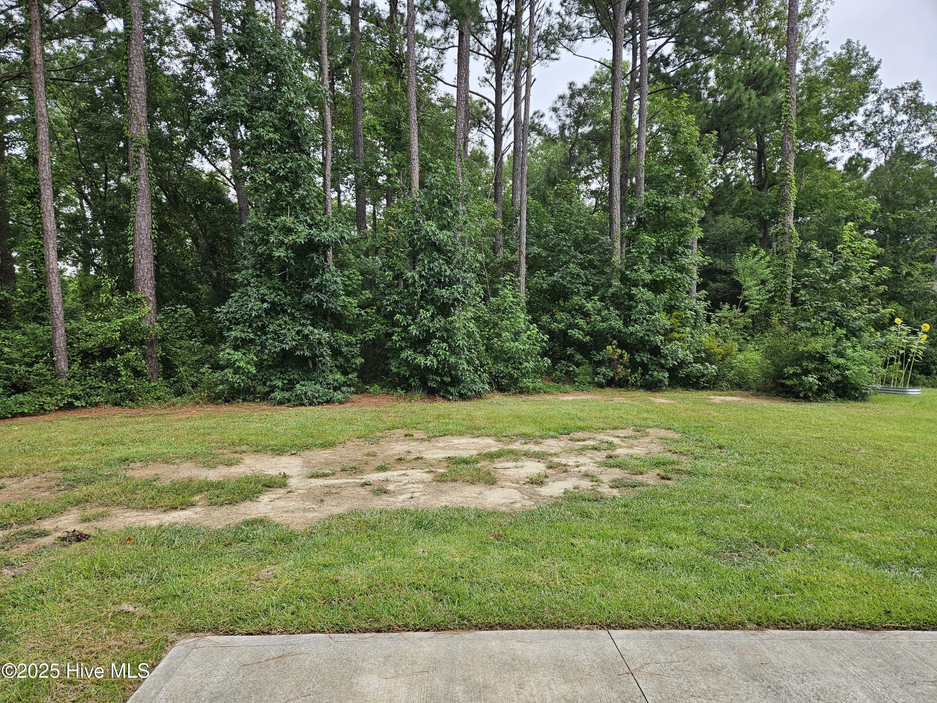 100539079 | Photo 31