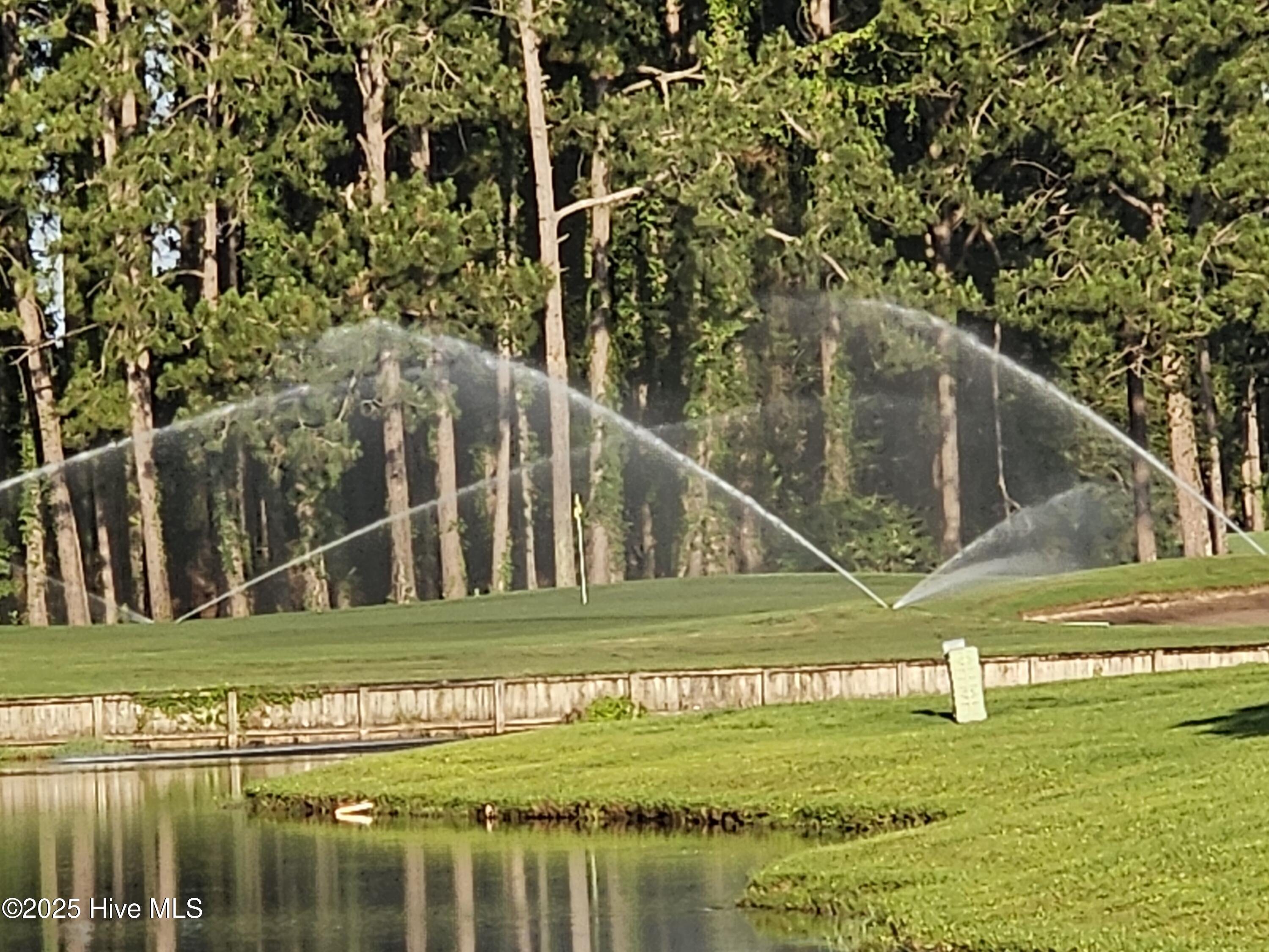 100542567 | Photo 70