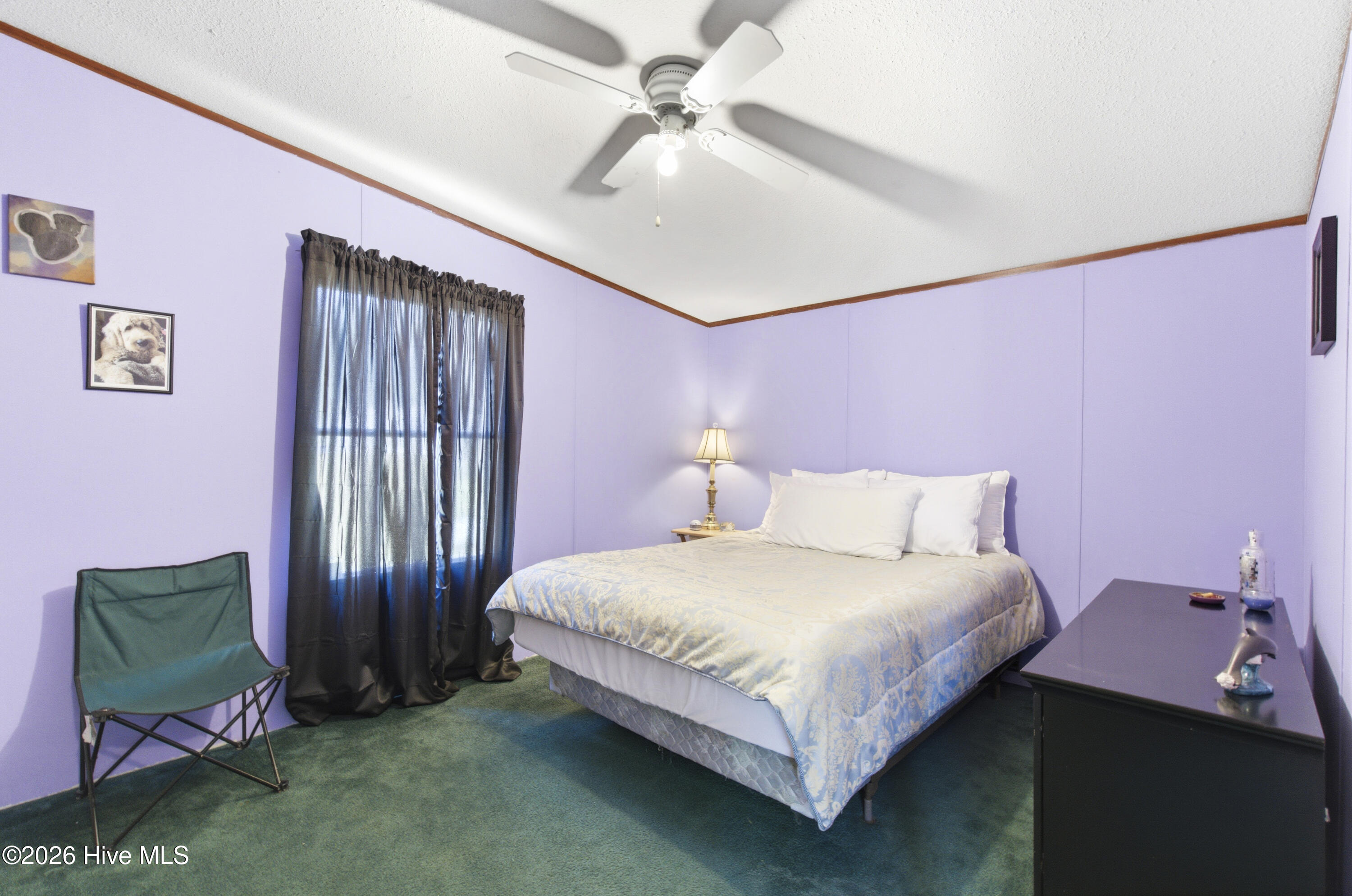 100565497 | Photo 39