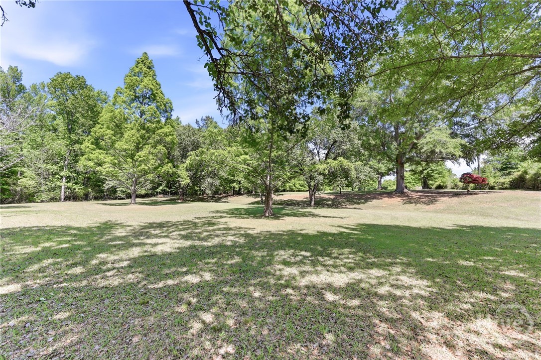 middle lawn near home