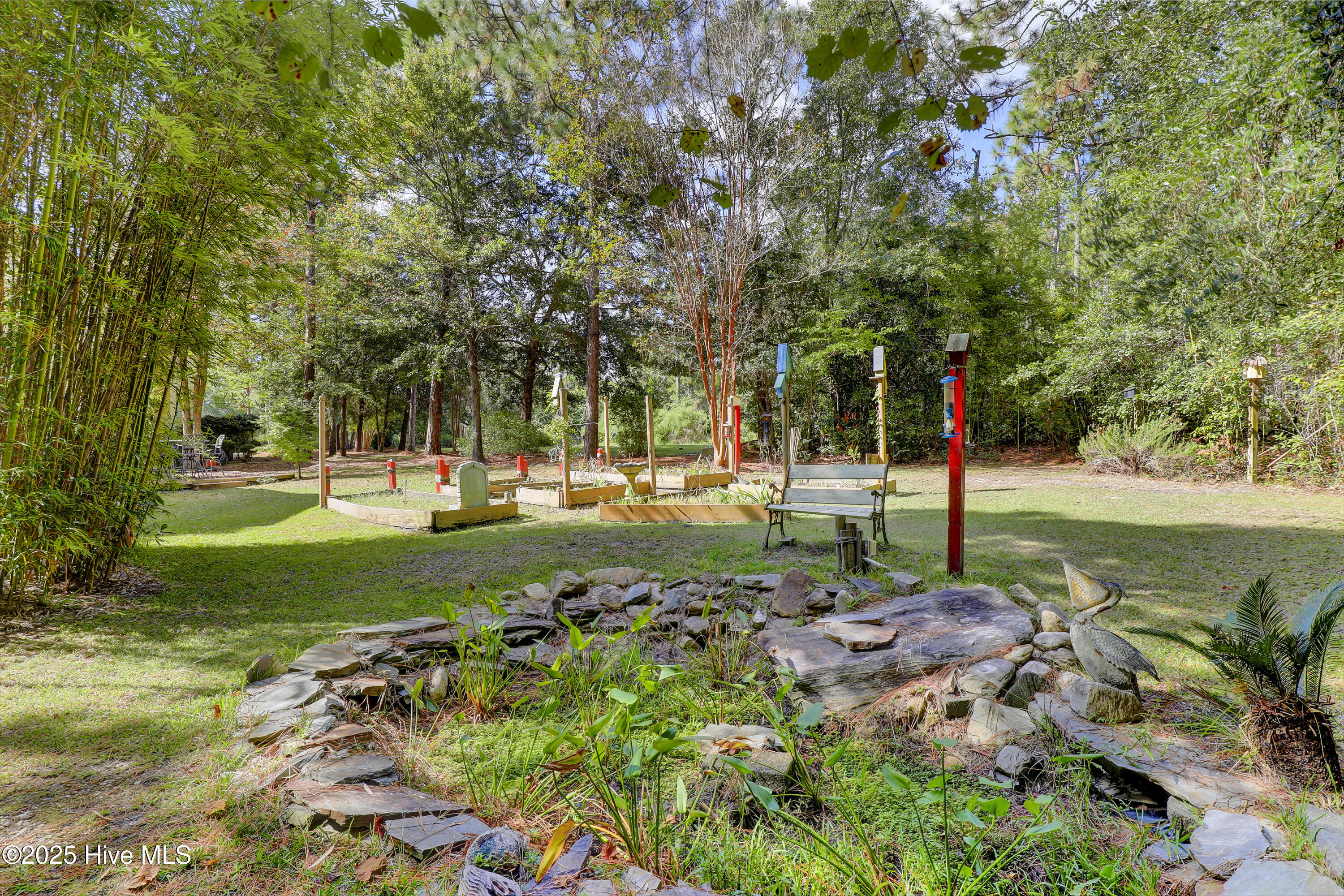 100532986 | Photo 42