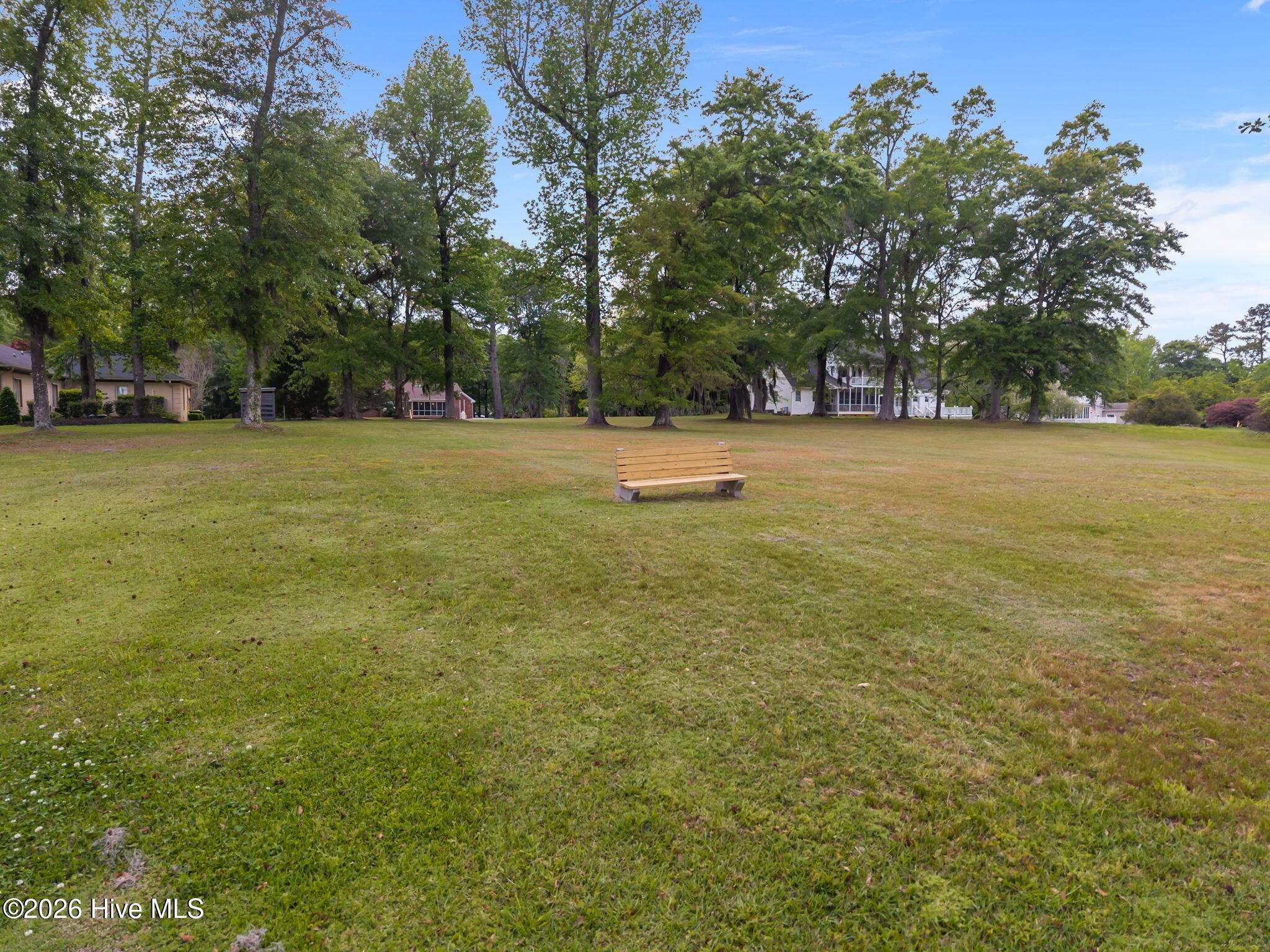 100567890 | Photo 54