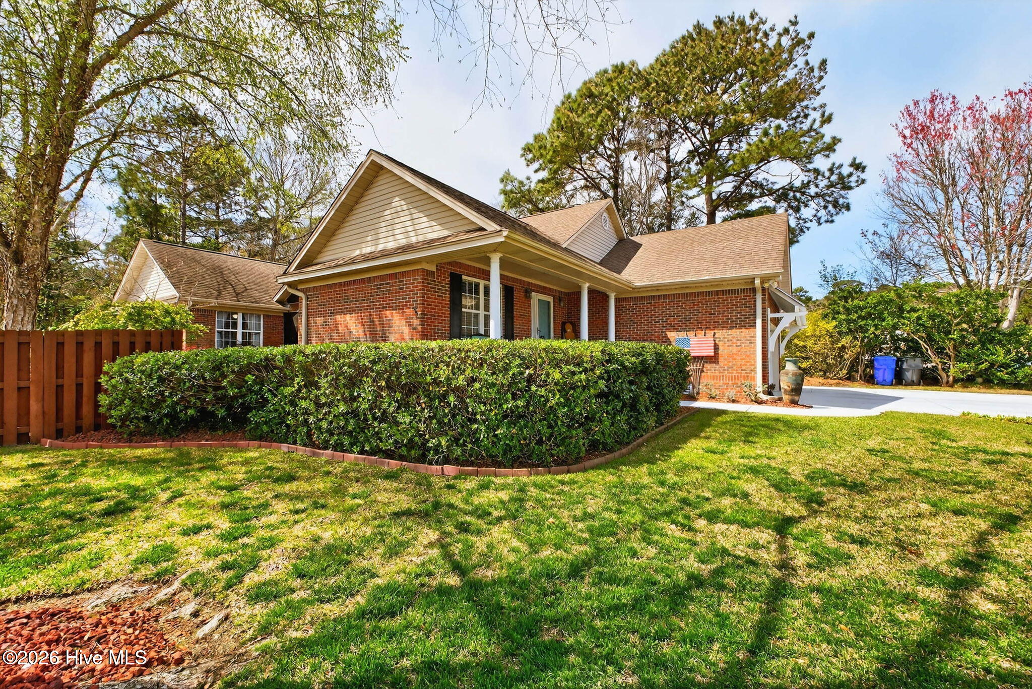 100562589 | Photo 89