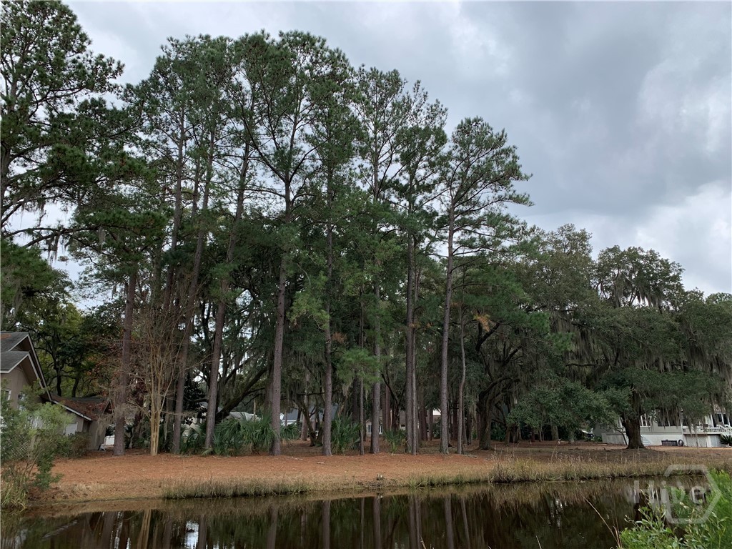 Photo 4 of Land for sale at 8 Topsail Ct, Savannah, GA 31411 | MLS# SA332346 | Listing updated on 2026-10-05