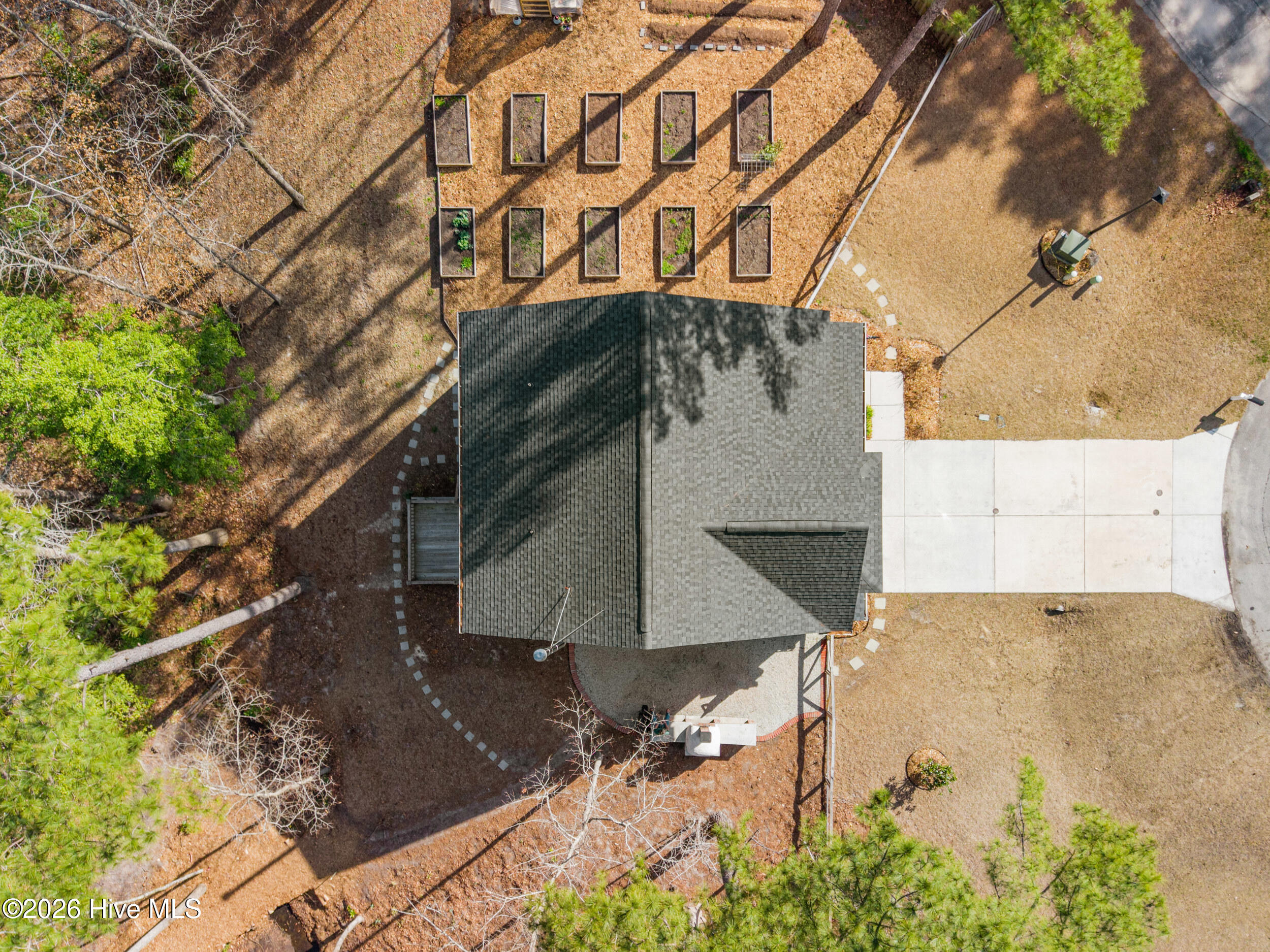 100558735 | Photo 51