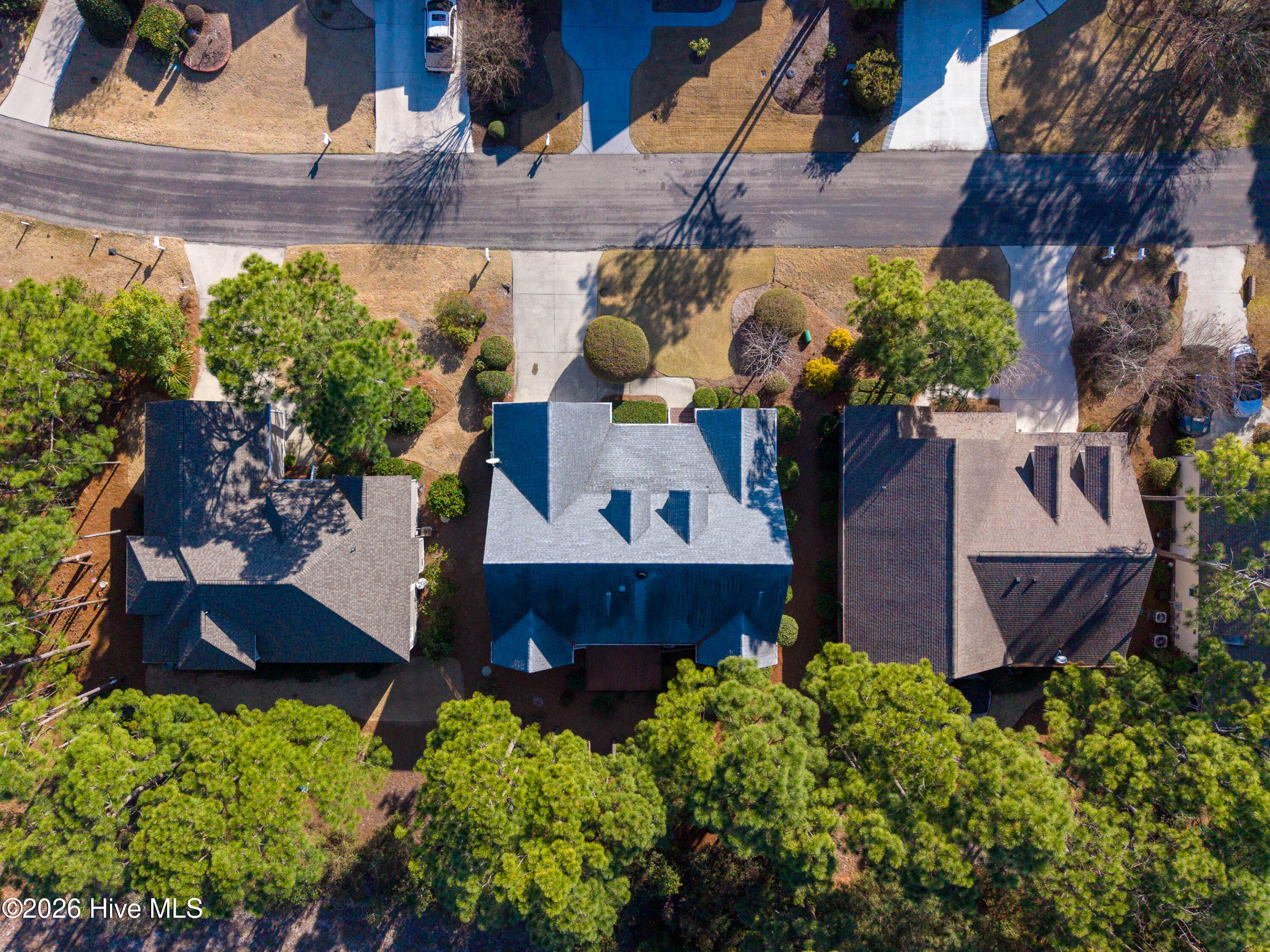 100558989 | Photo 41