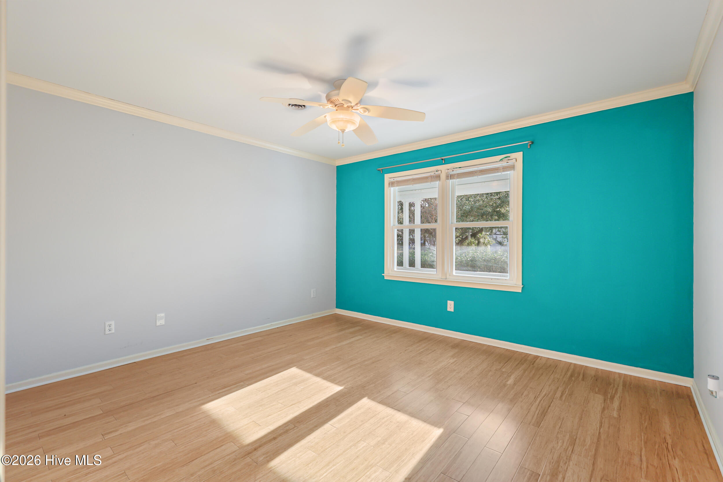 100521049 | Photo 32