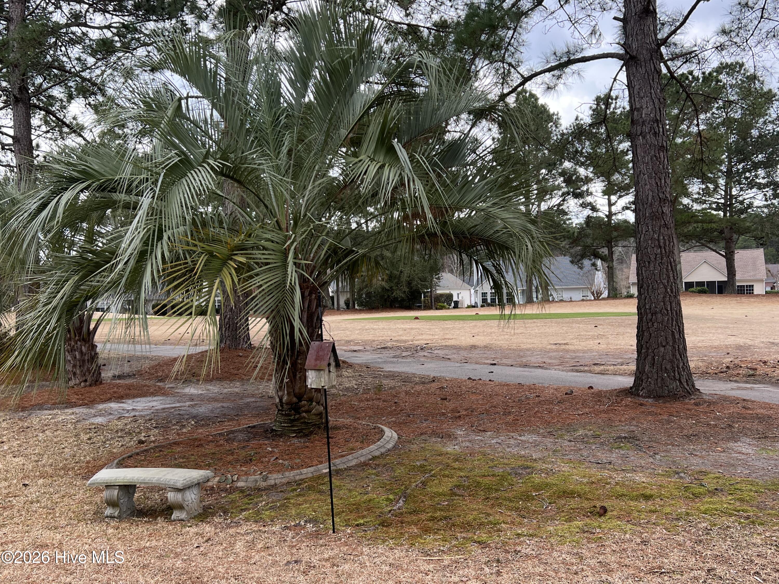 100555896 | Photo 60