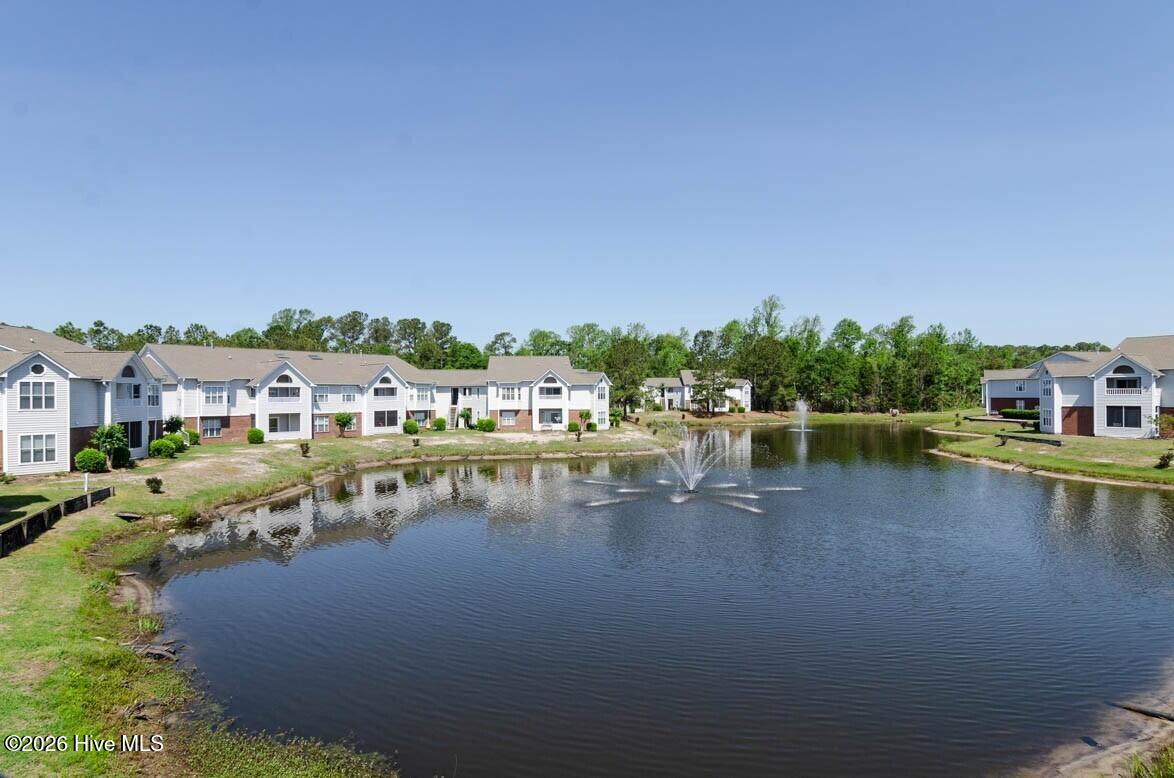 100559057 | Photo 19