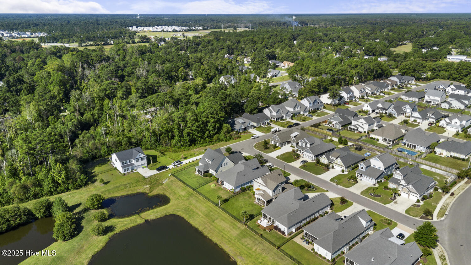 100530635 | Photo 46