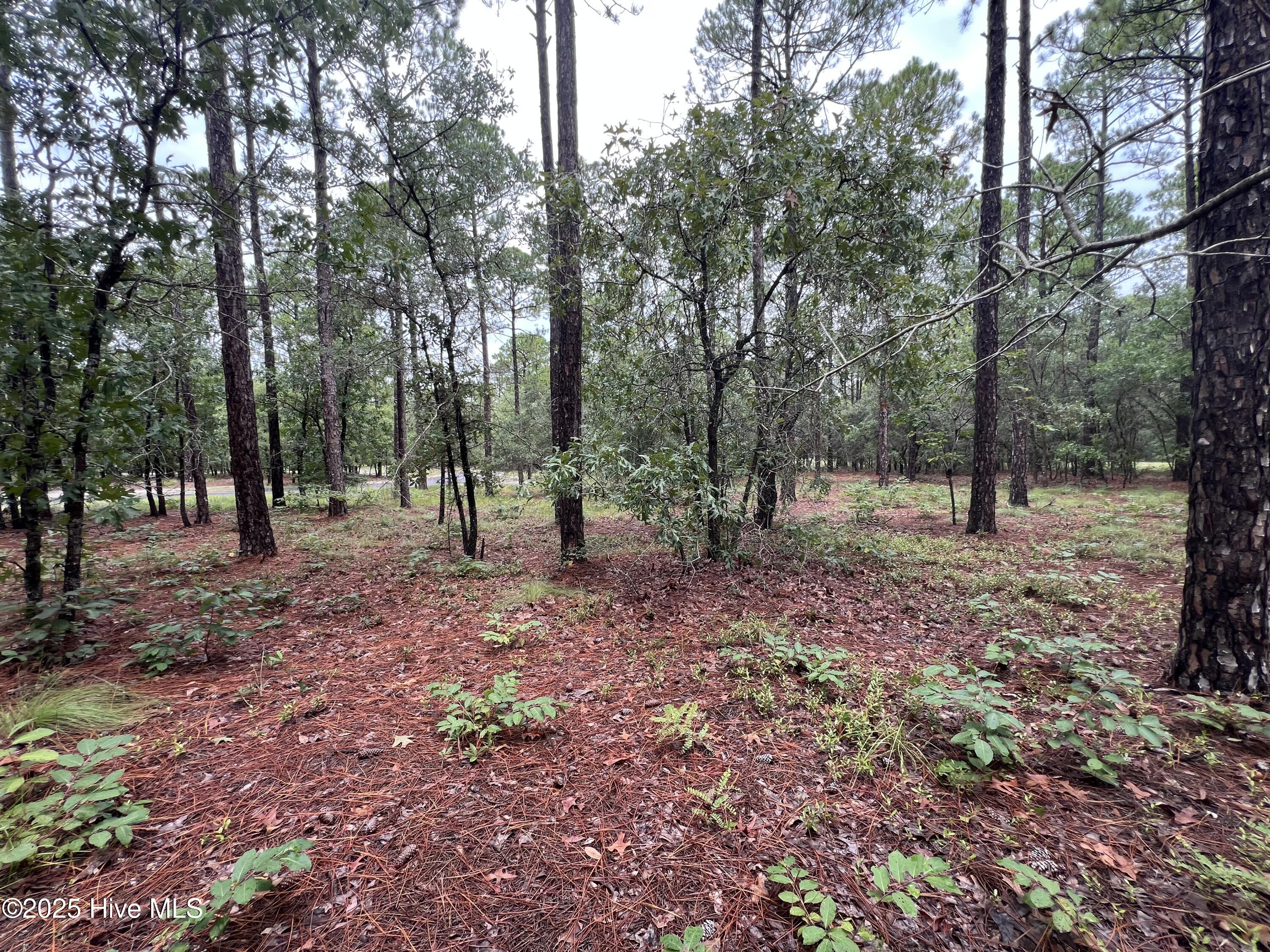 100527062 | Photo 19