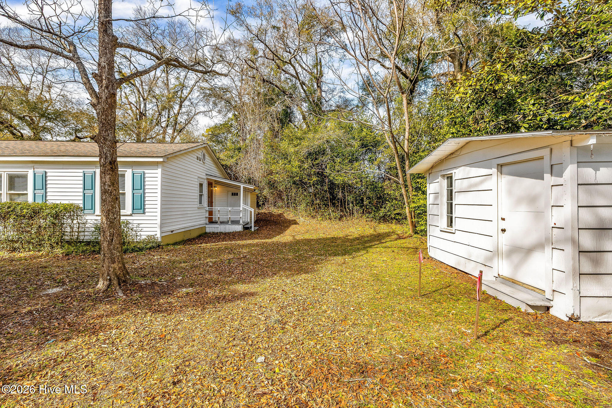 100555129 | Photo 29