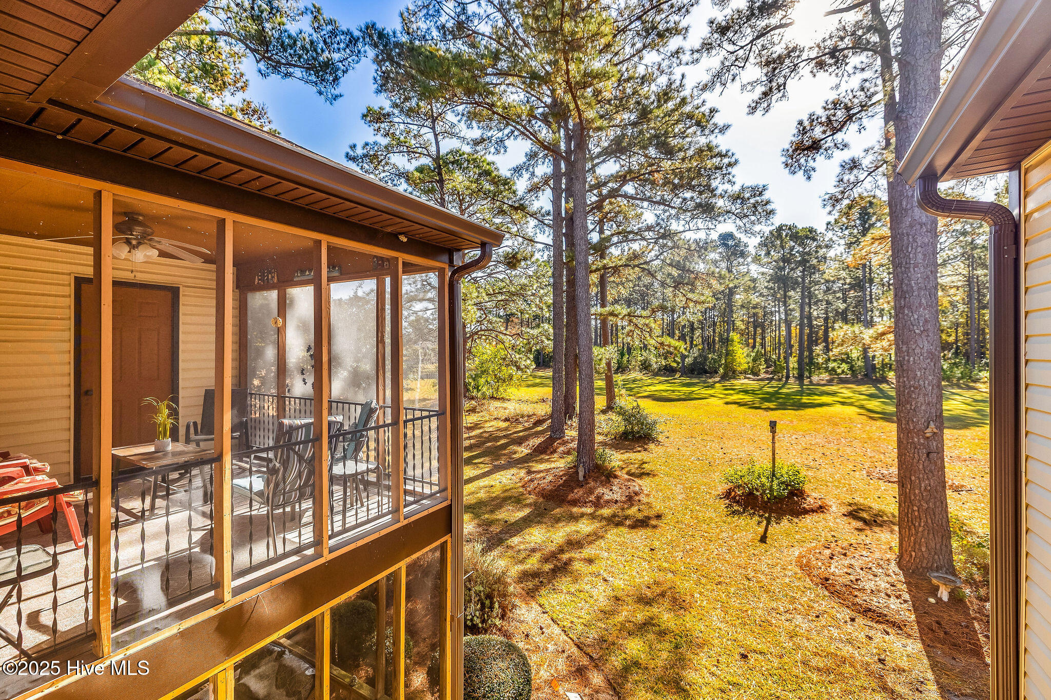 100541732 | Photo 30