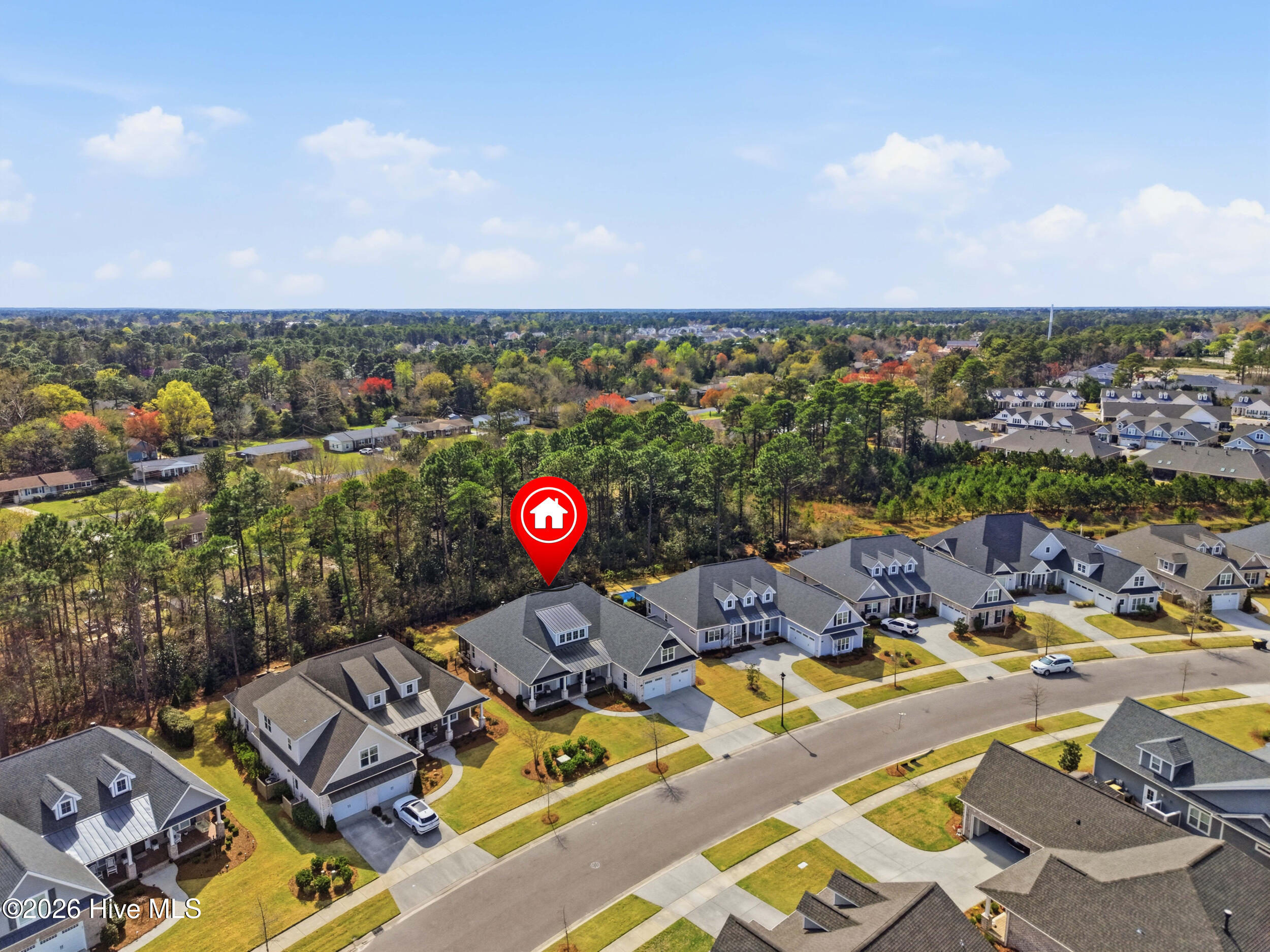 100561233 | Photo 53