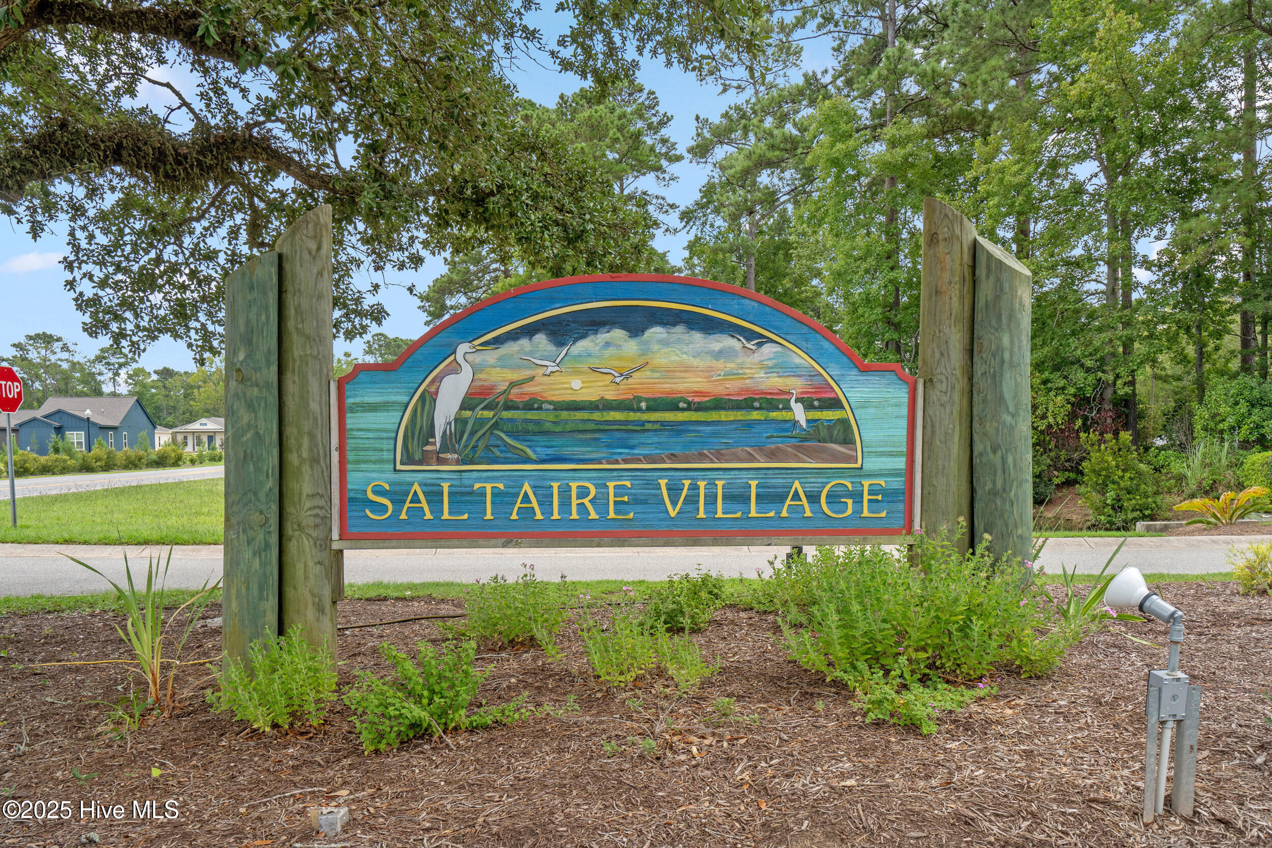 100542117 | Photo 48