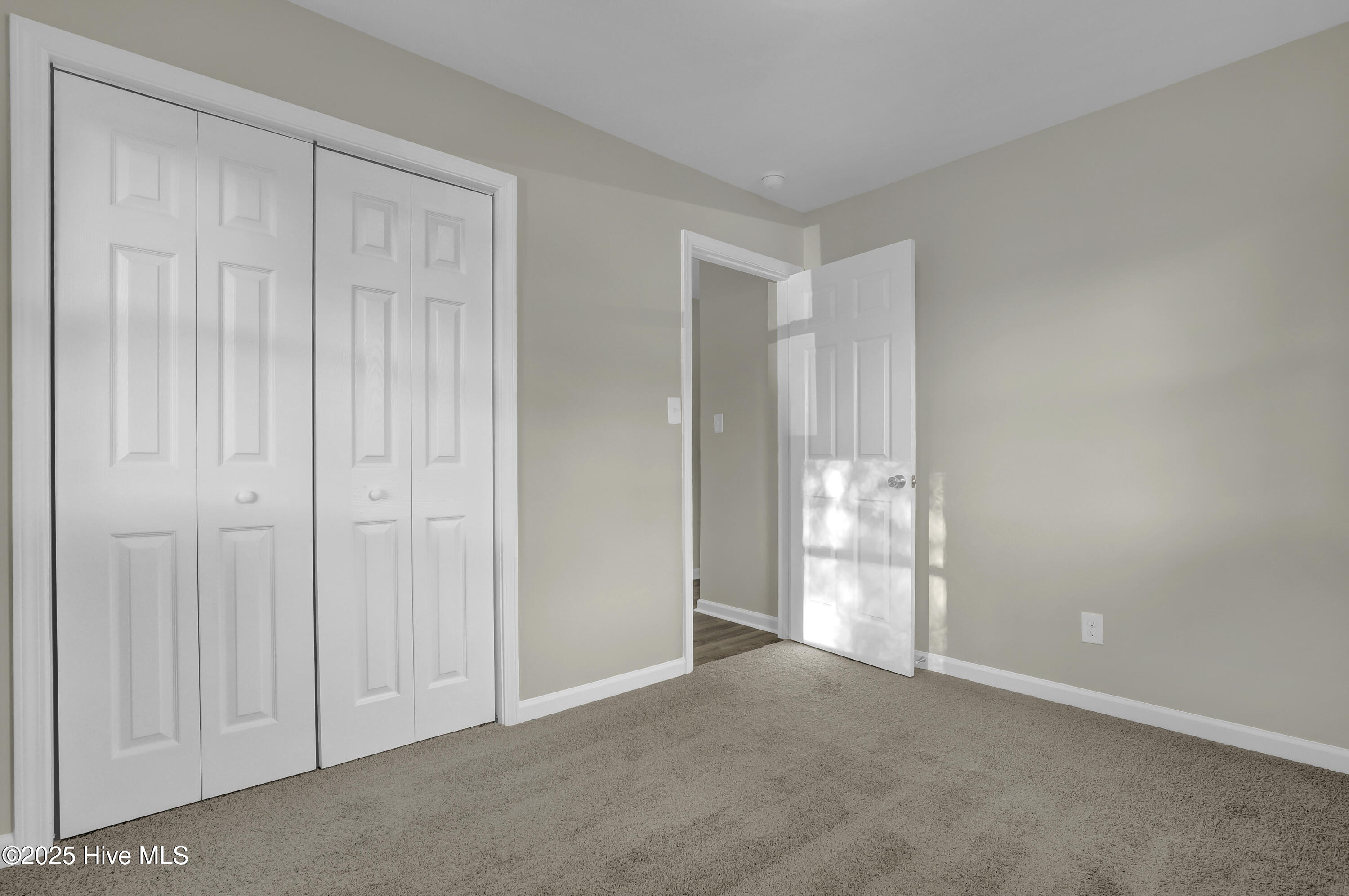 100542523 | Photo 23