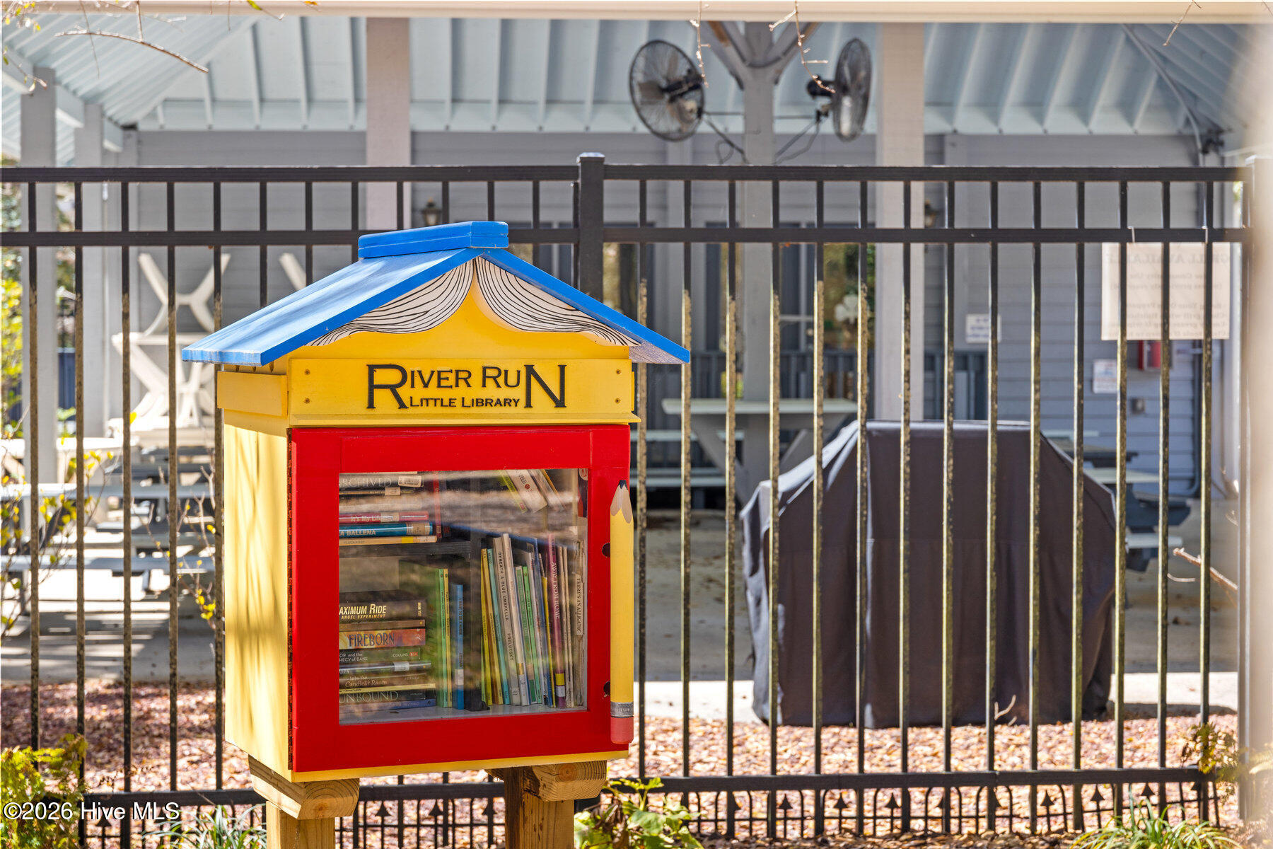 100554265 | Photo 47