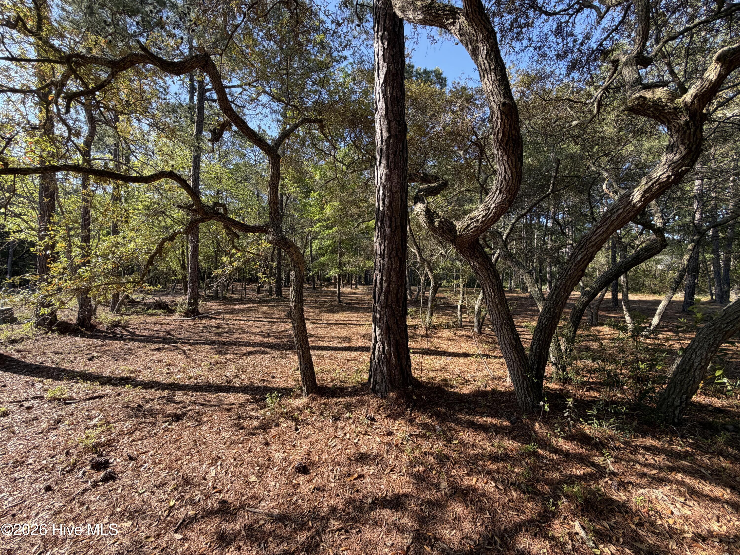 100569974 | Photo 11