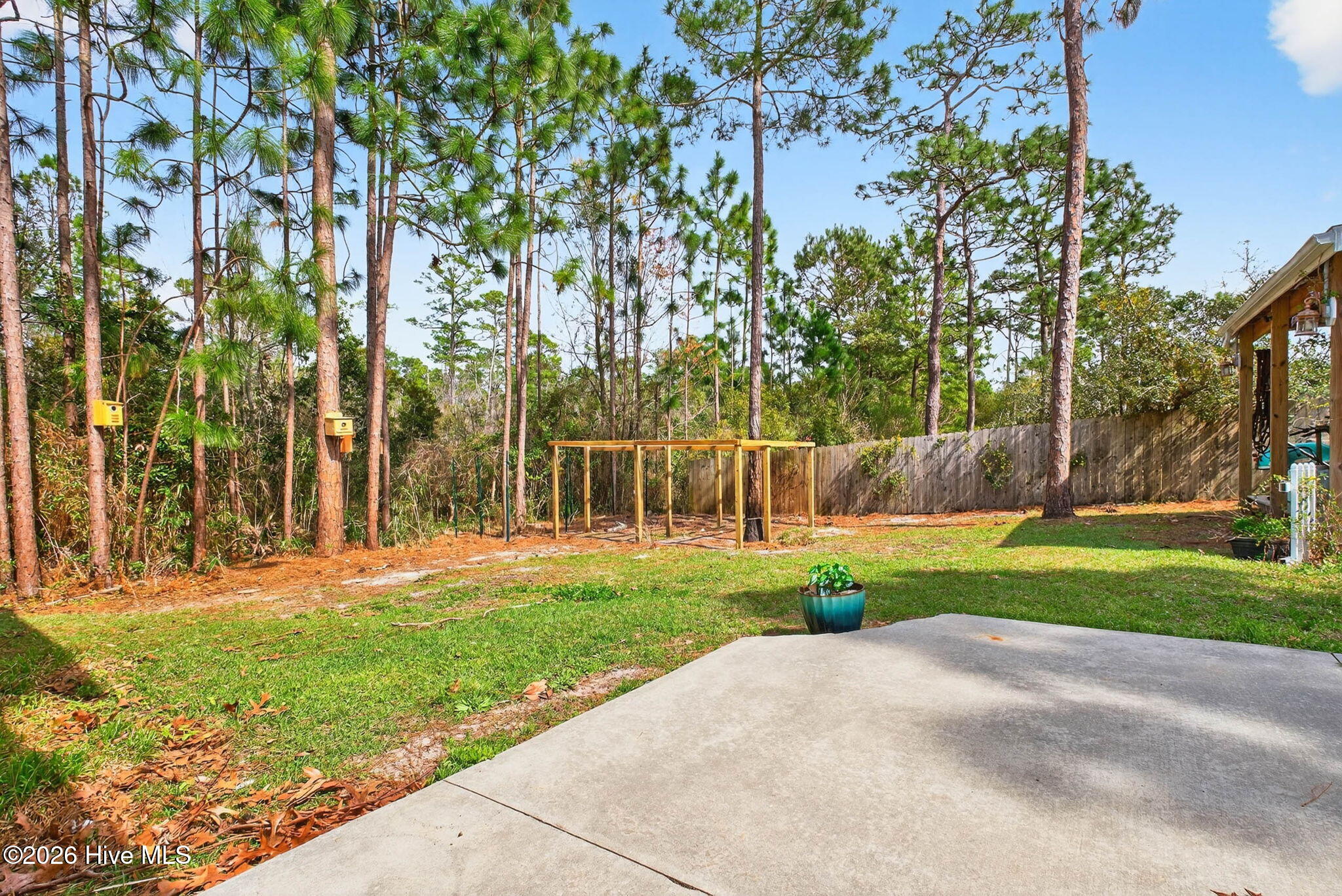 100561727 | Photo 38