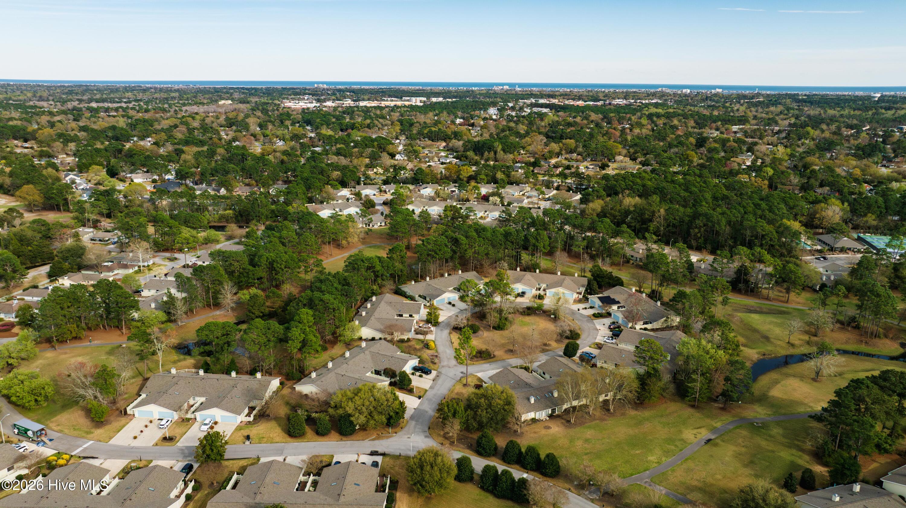 100560889 | Photo 51