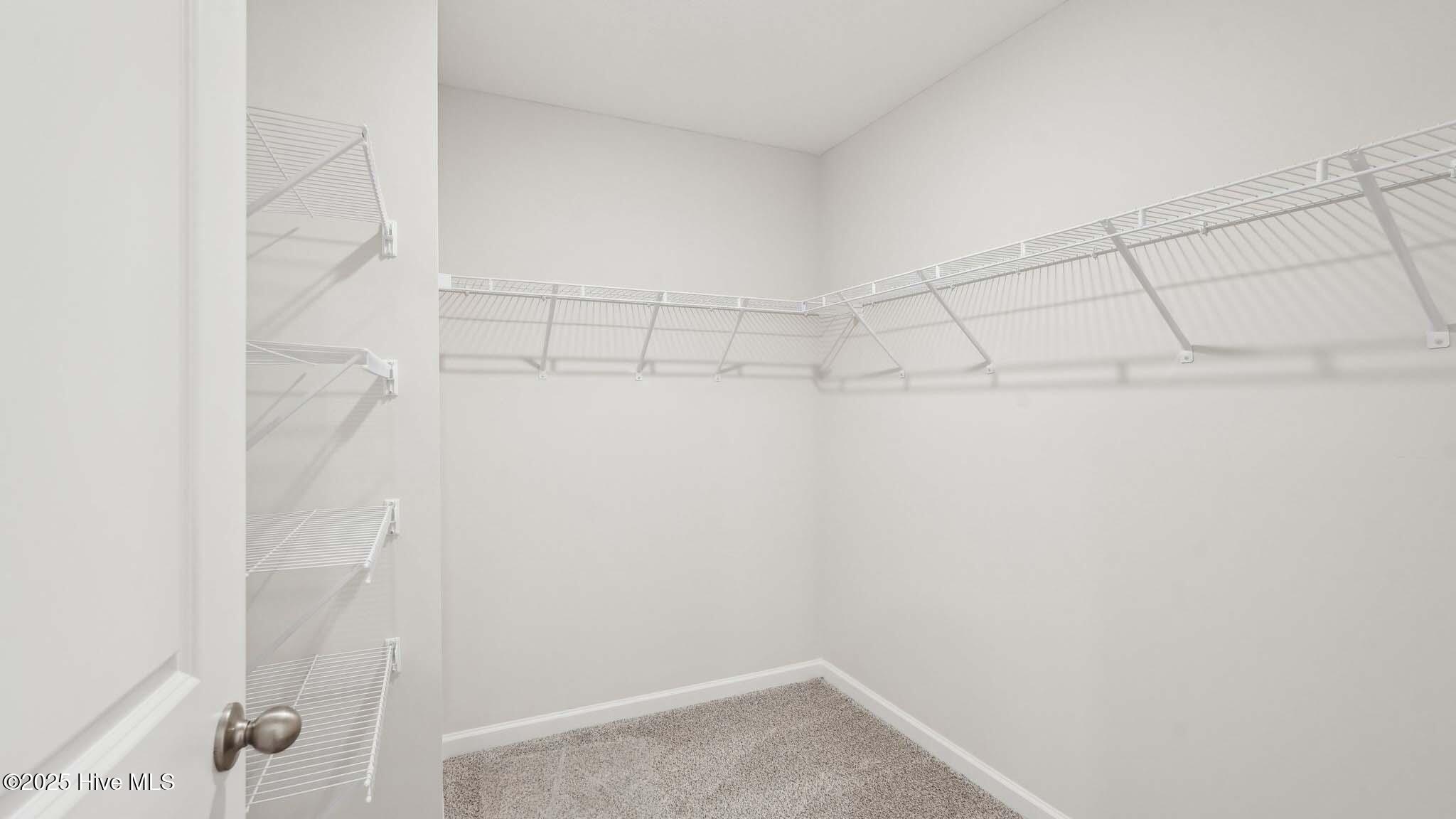 100539237 | Photo 19