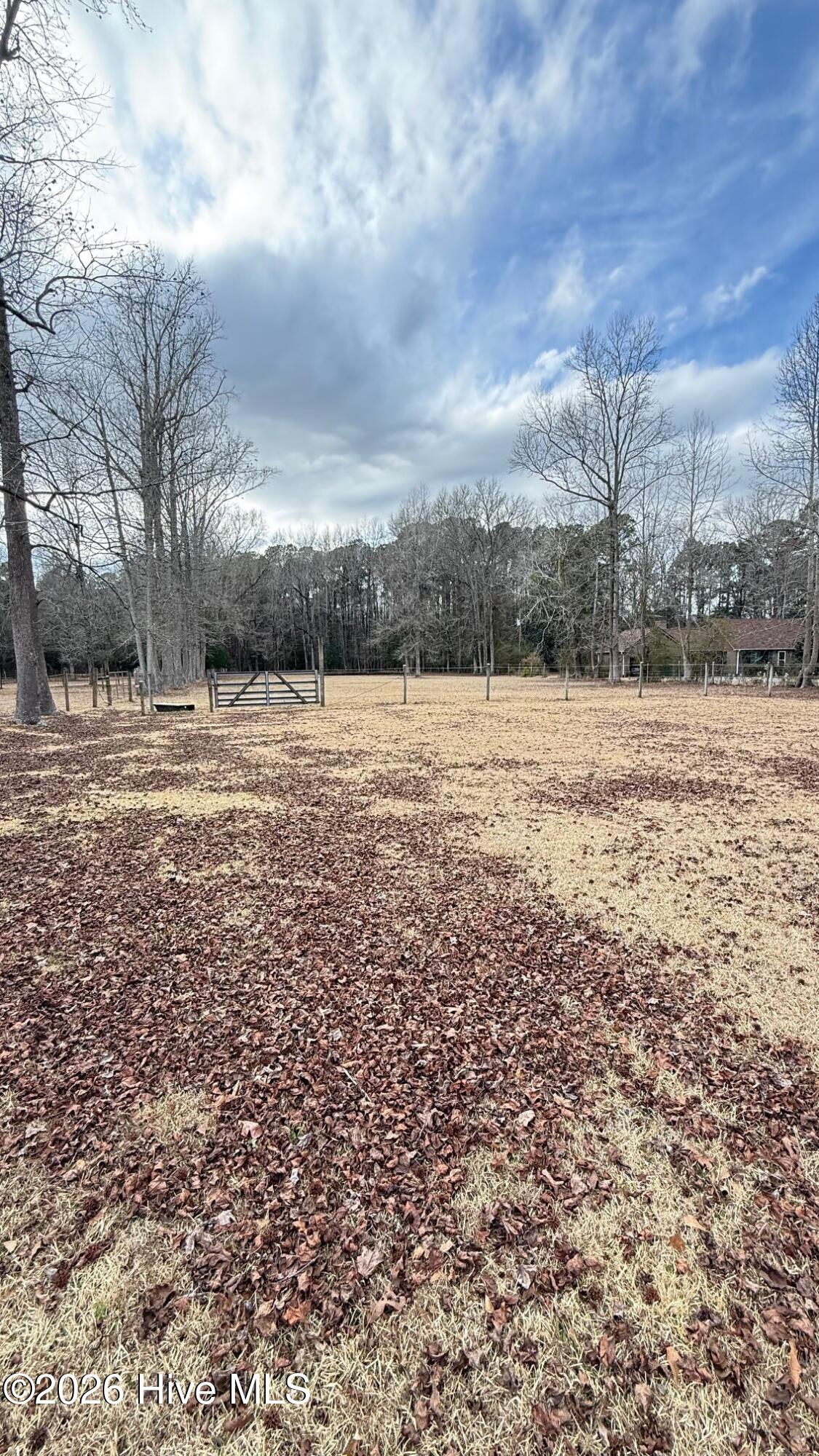 100551820 | Photo 26