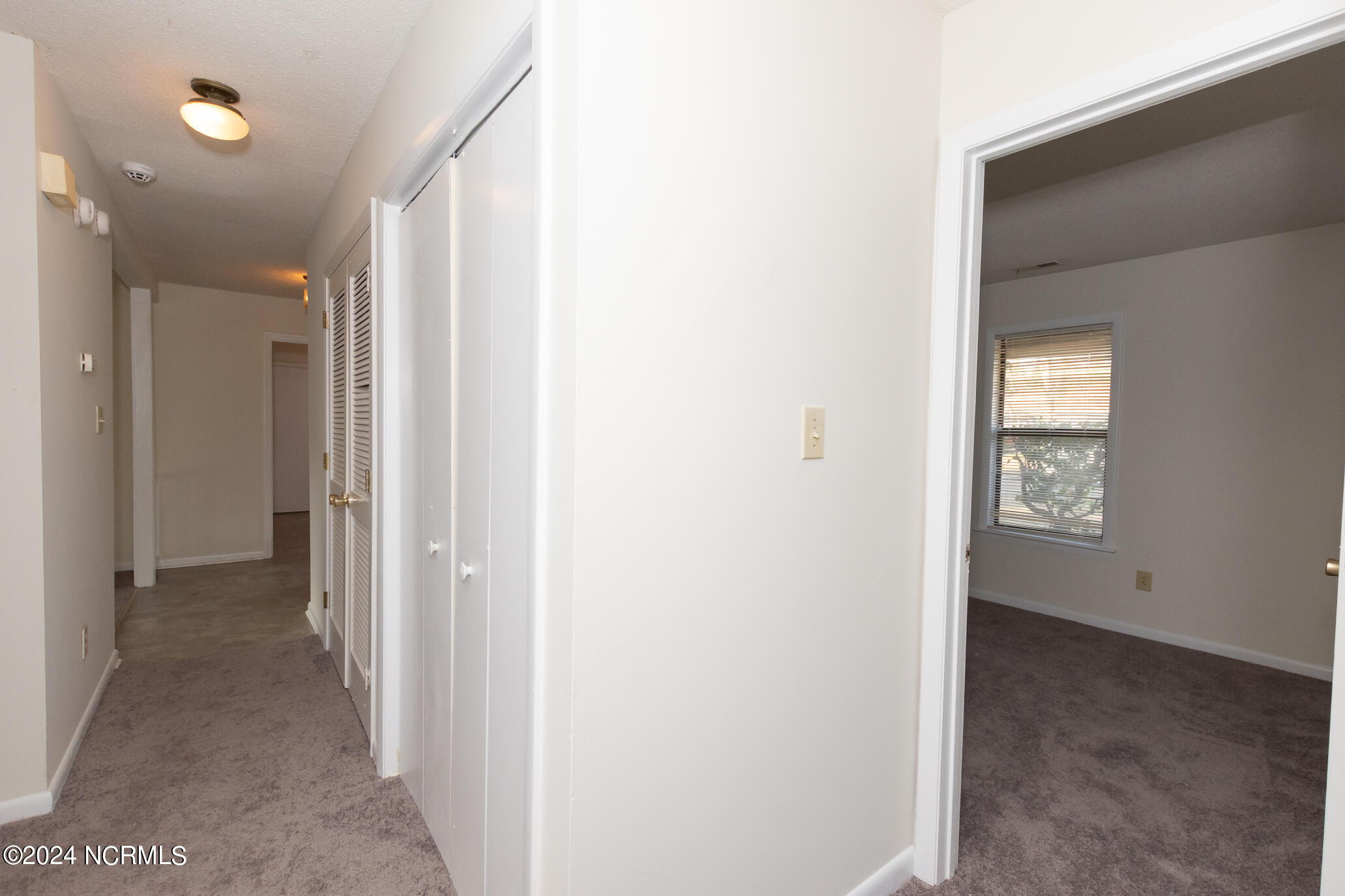 100528629 | Photo 41