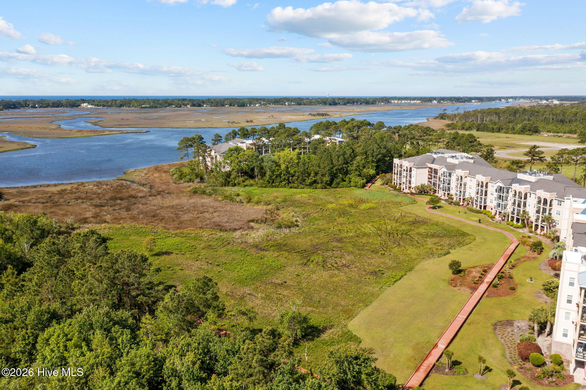 100558895 | Photo 78