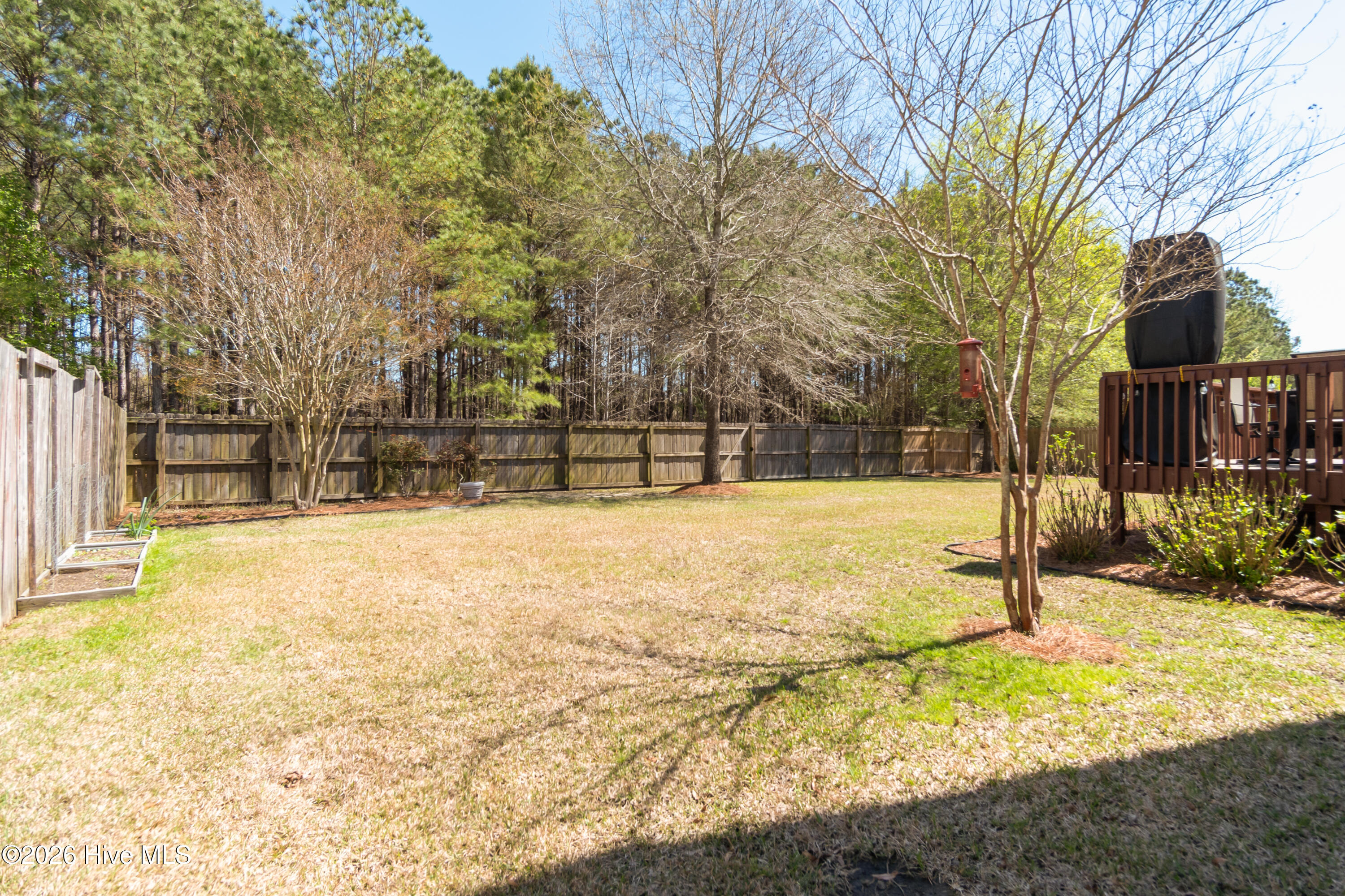 100569797 | Photo 48