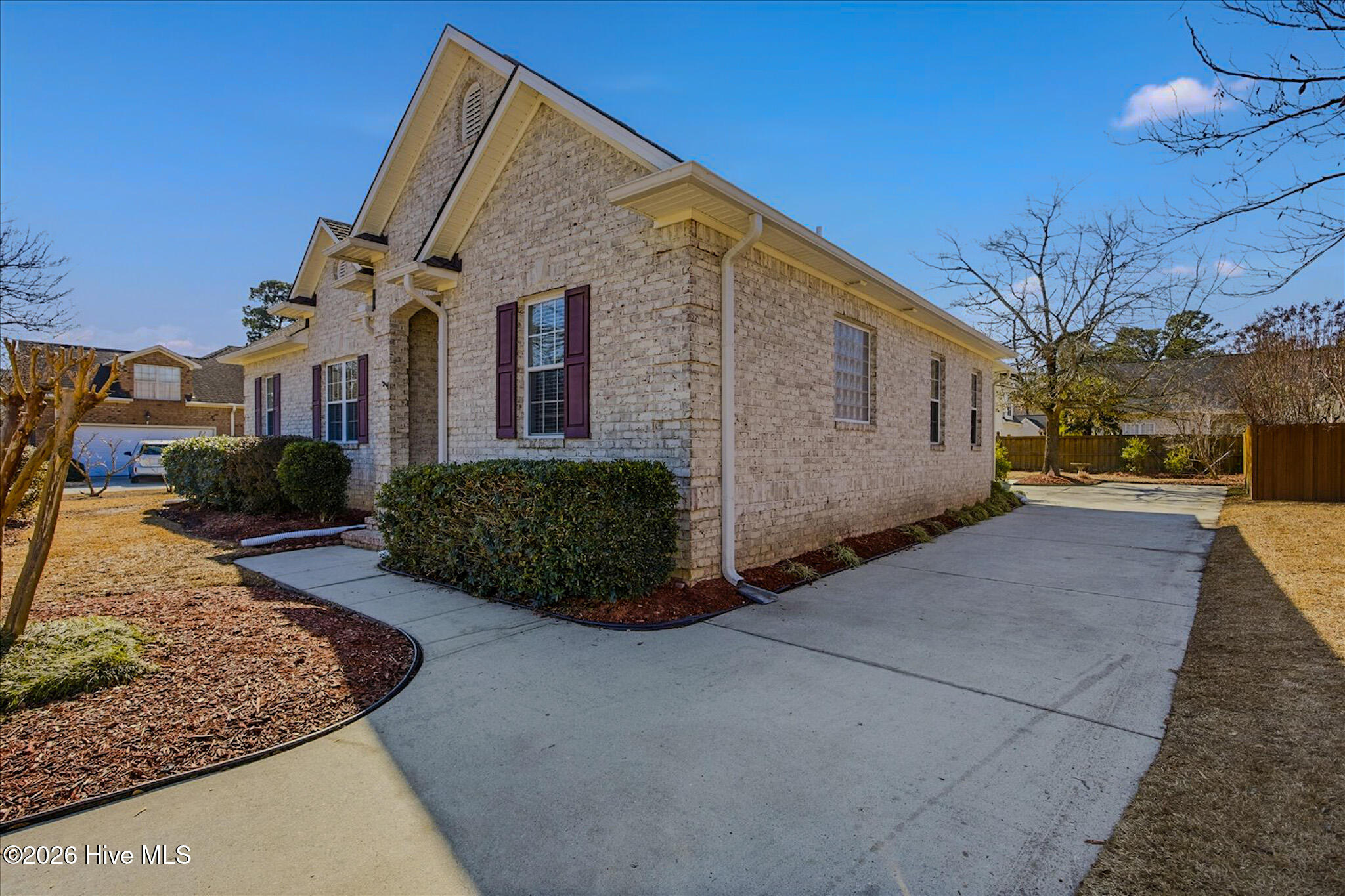 100554989 | Photo 37