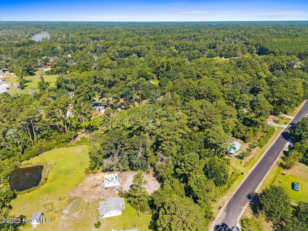 100538568 | Photo 27