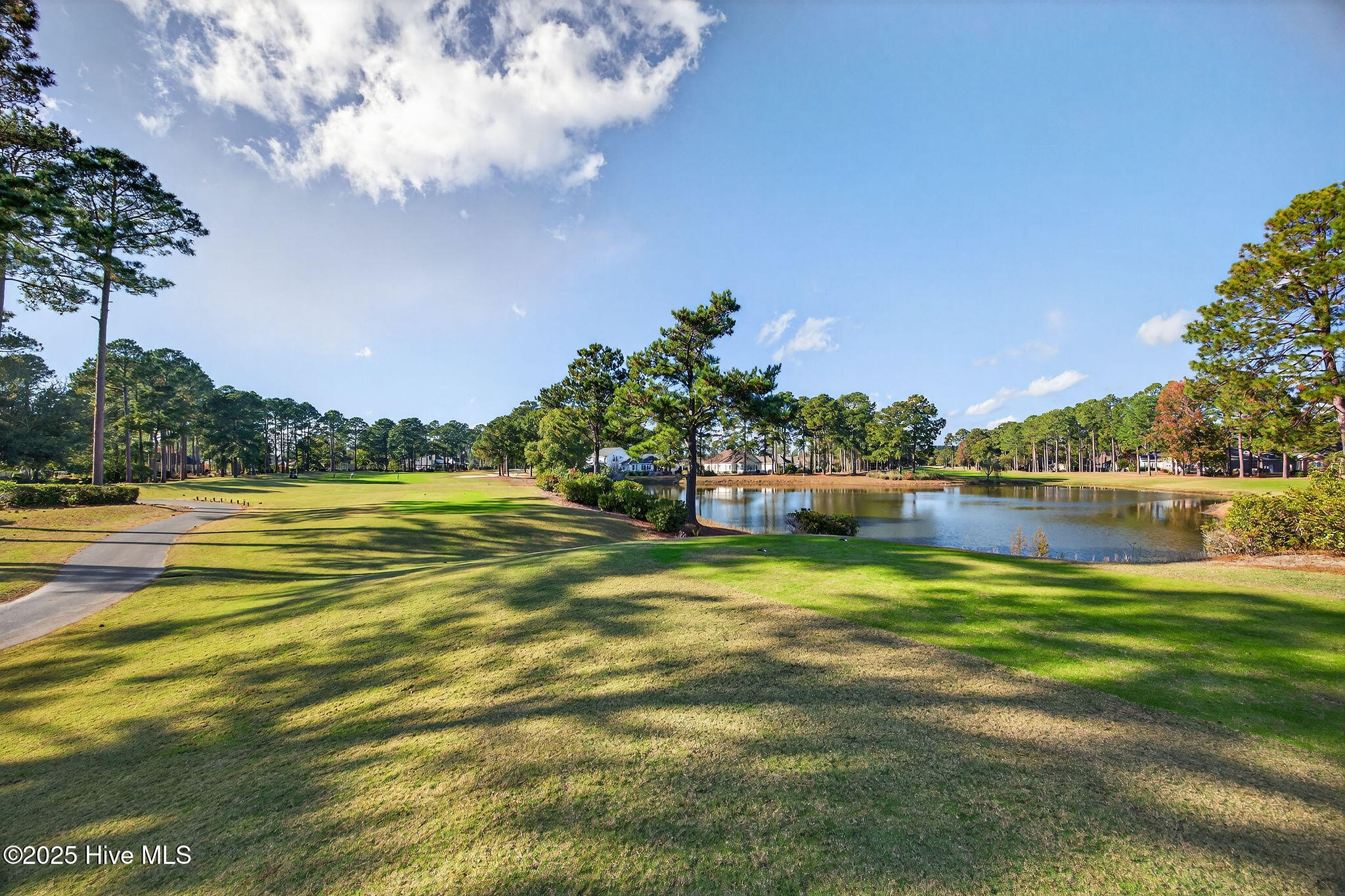 100541027 | Photo 52