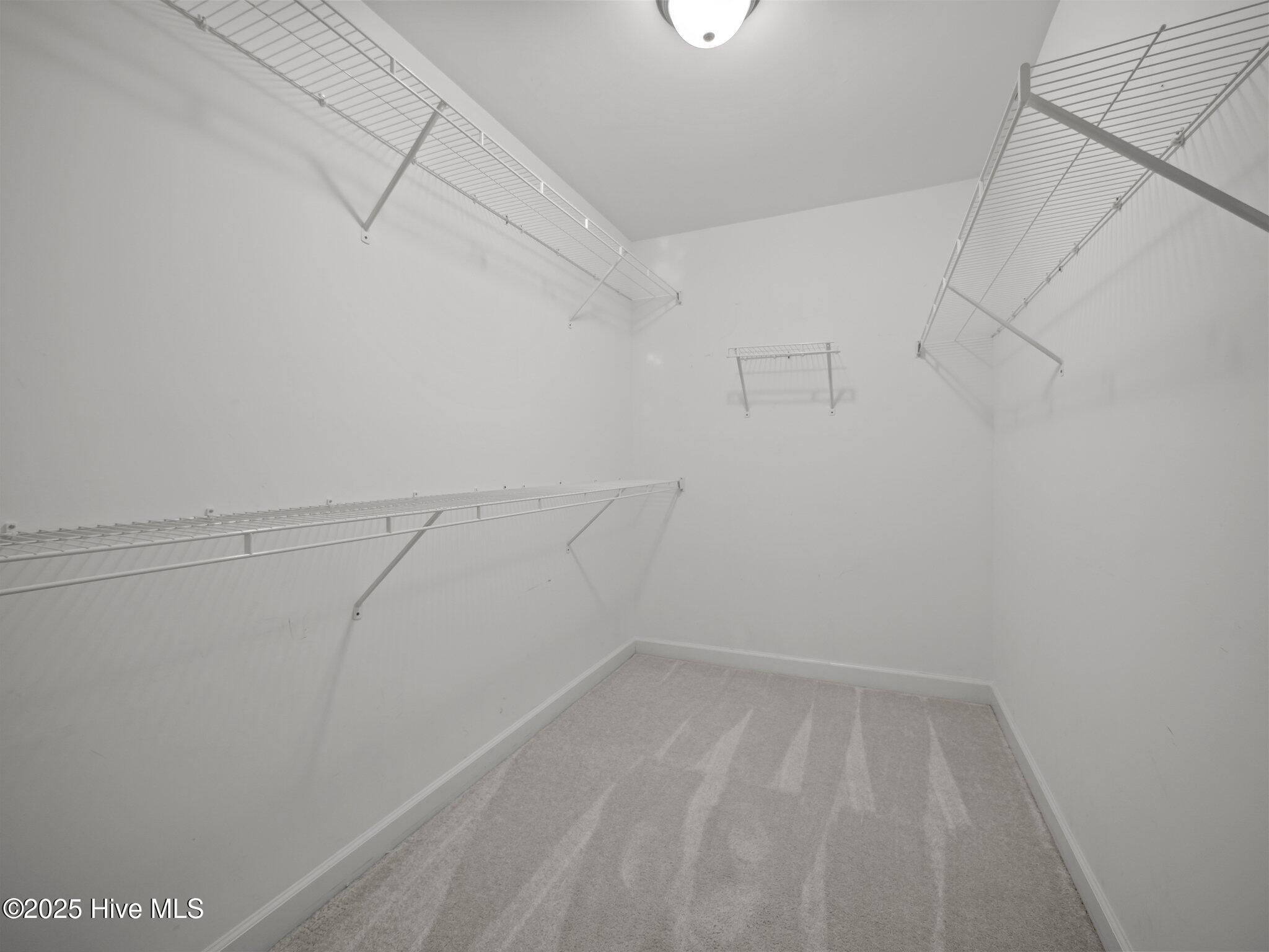 100552788 | Photo 17